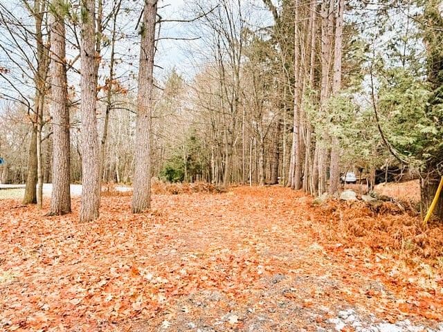 93 TOWN LINE Road W, Huntsville, ON P1H 1S6