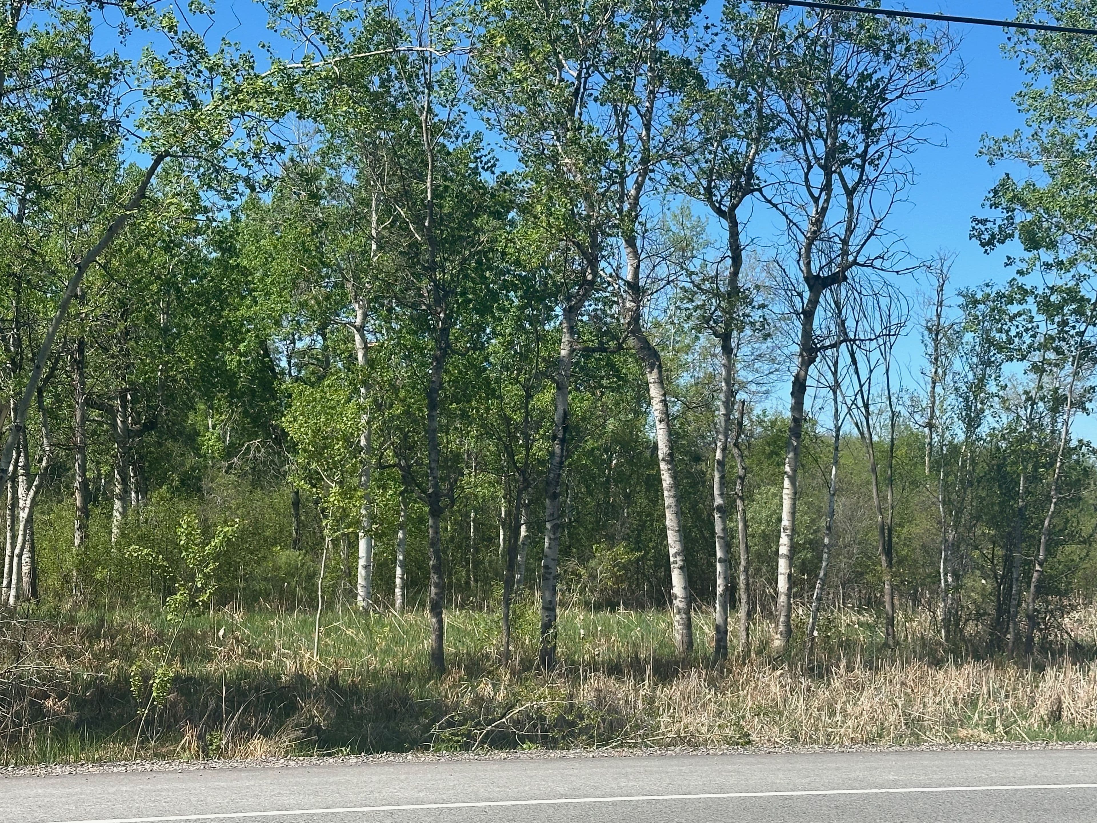 CON 7 PT LT 1 Ravenshoe Road, Georgina, ON L0E 1R0