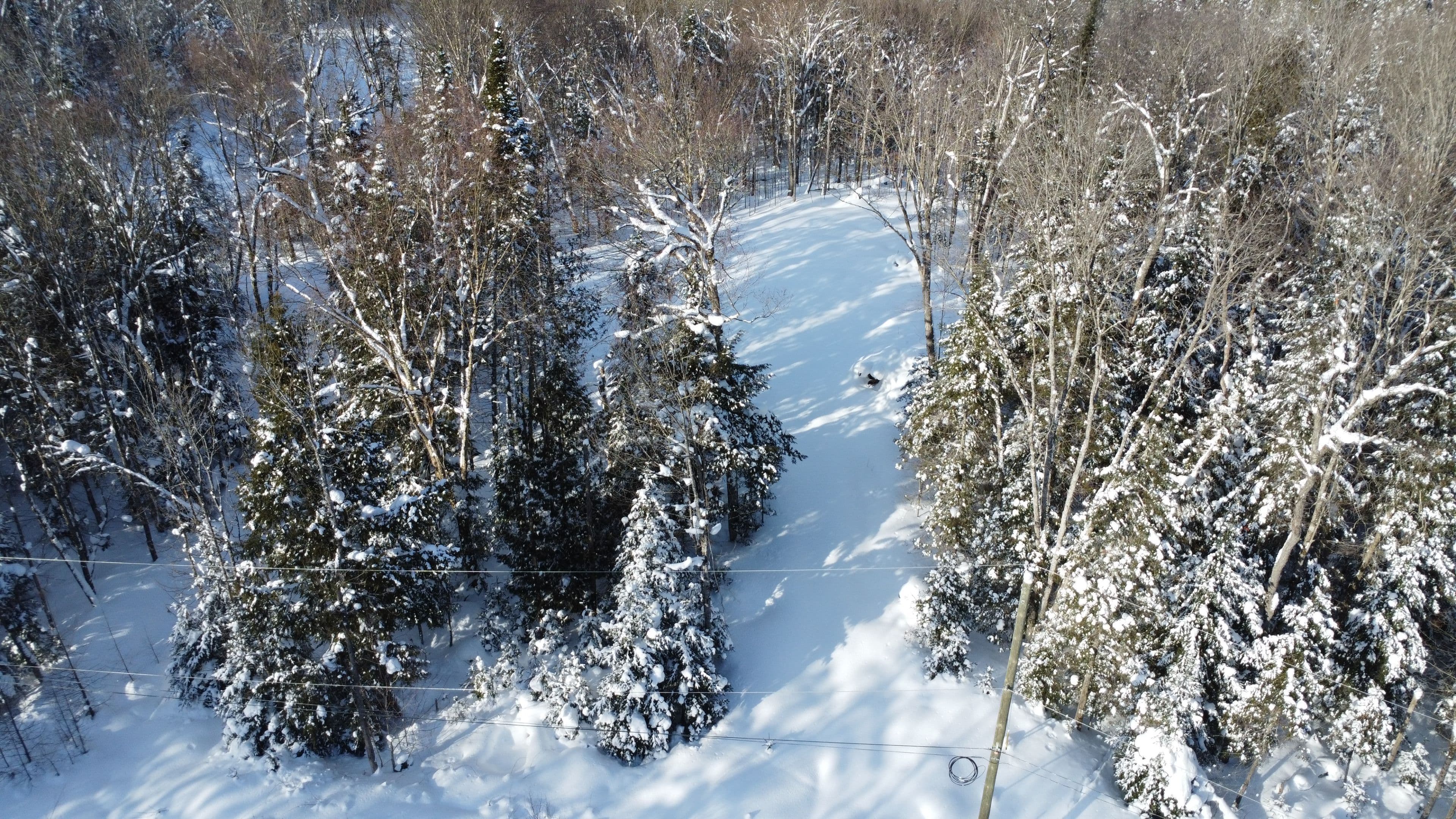 2 Foxwood Court, Huntsville, ON P1H 2N5