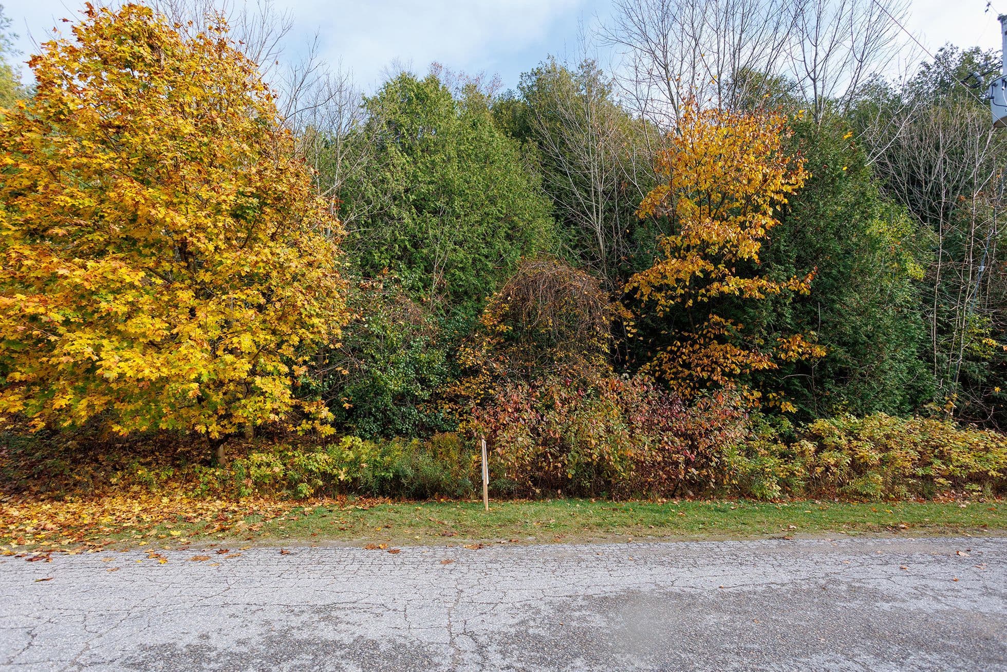 LT 17 PL 594 COURTNEY Court S, Ashfield-Colborne-Wawanosh, ON N2Z 2X3