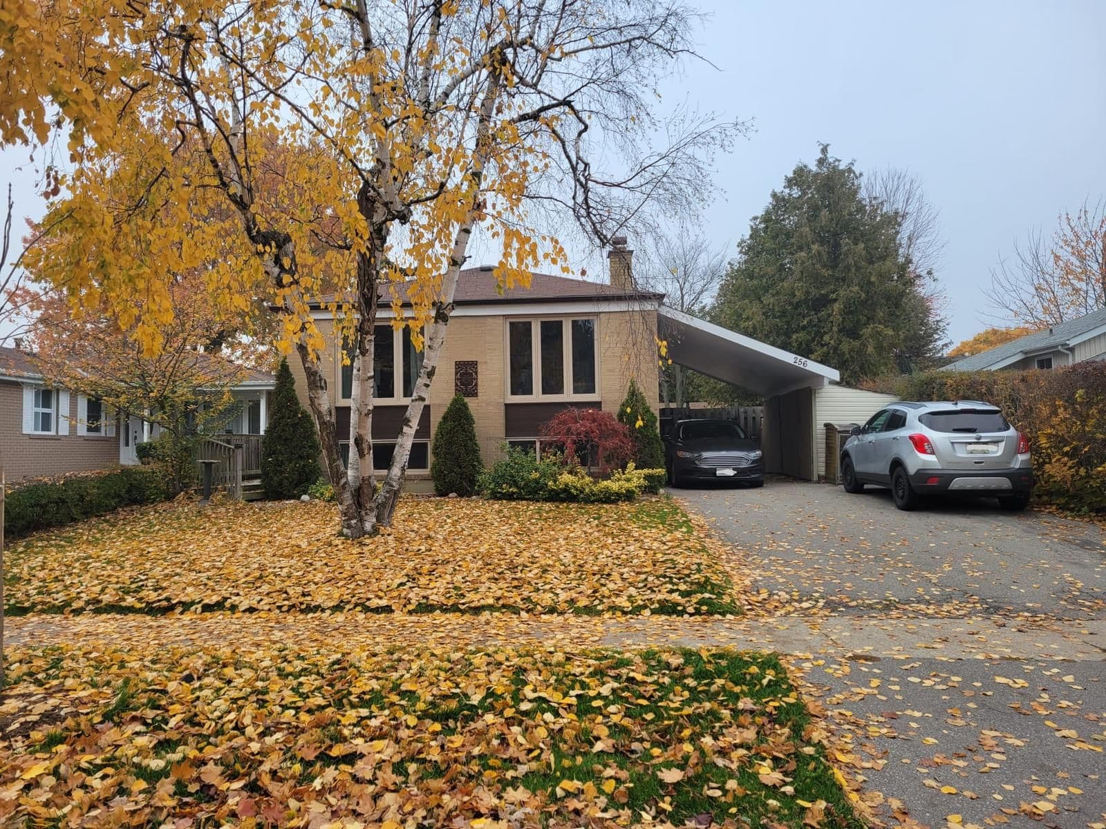 256 Sylvan Avenue Lower, Toronto E08, ON M1E 1A6