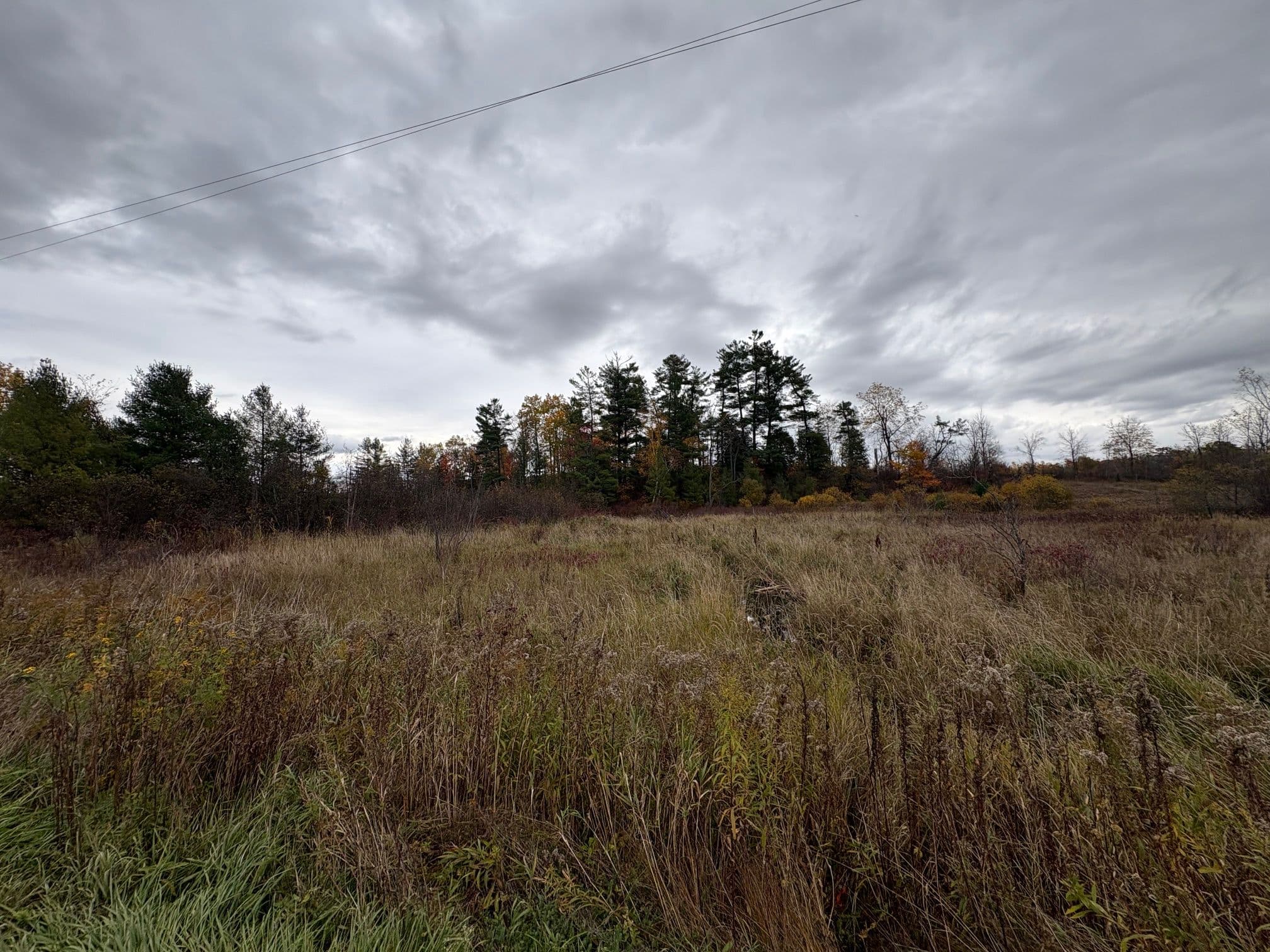 0 Godolphin Road, Trent Hills, ON K0K 3K0