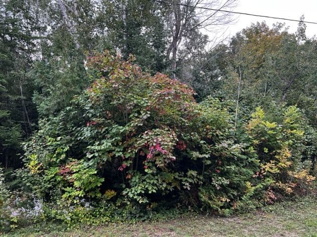 5 SHORE Road, Saugeen Shores, ON N0H 2L0