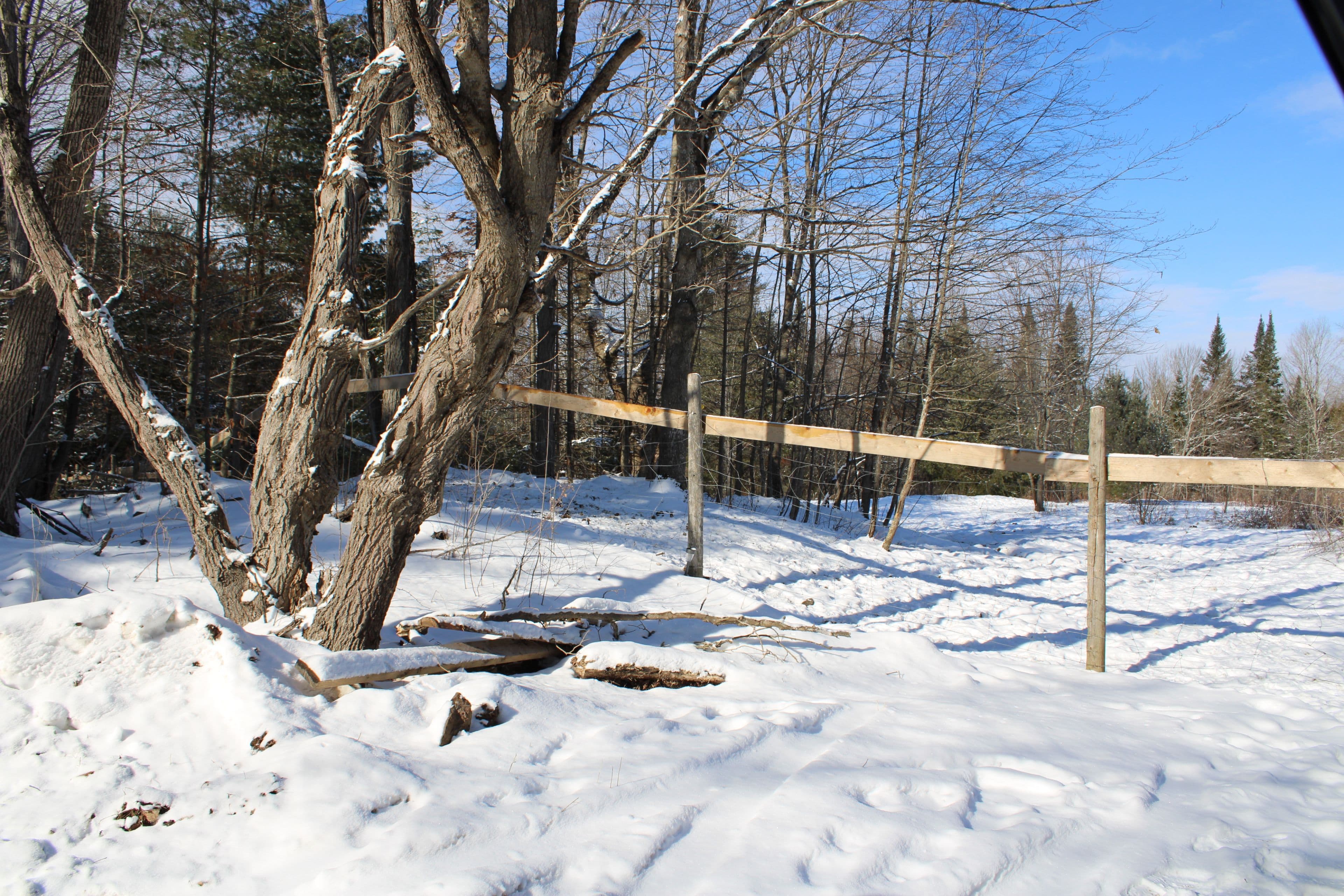 494 Twin Sister Lakes Road, Marmora and Lake, ON K0K 2M0