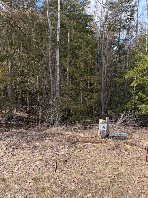 11 Lakeside Woods Crescent, Saugeen Shores, ON N0H 2C0