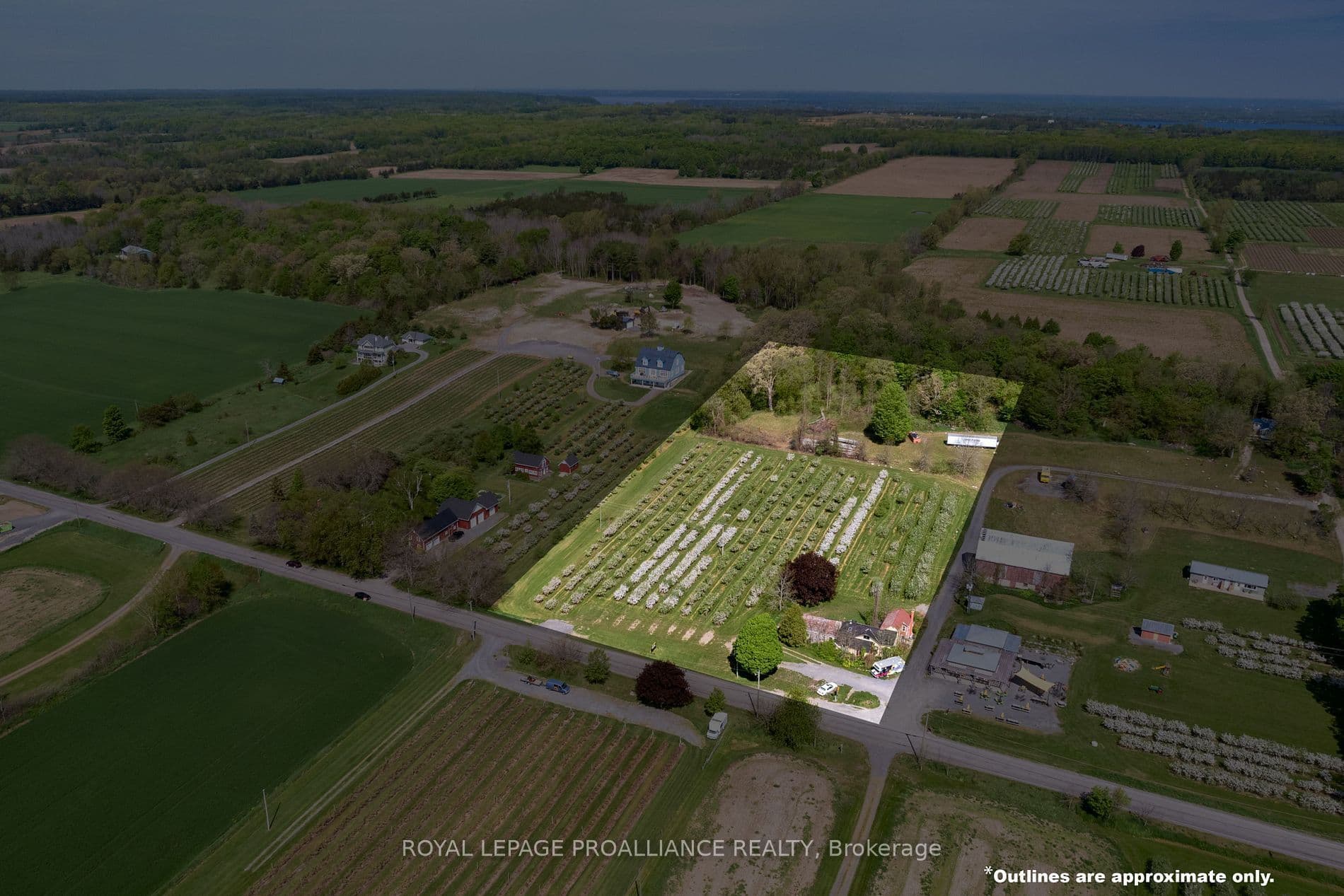 2965 County Road 8 N/A, Prince Edward County, ON K0K 2T0