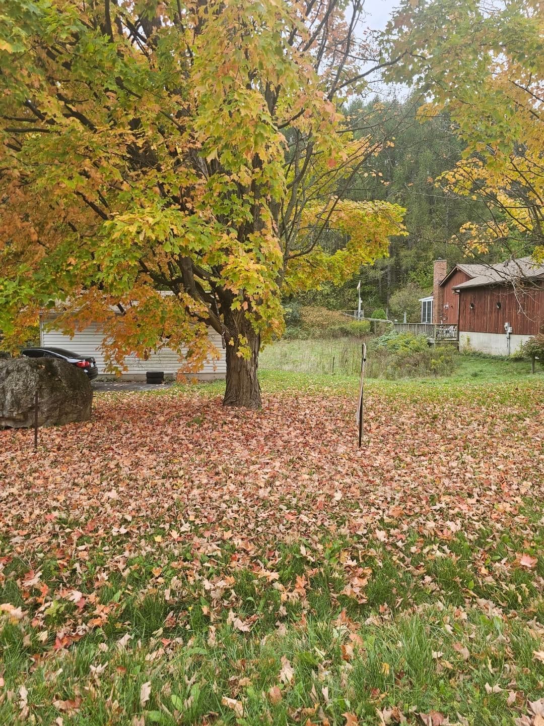 Part 1, 19904 Main Street, Caledon, ON L7K 0C2