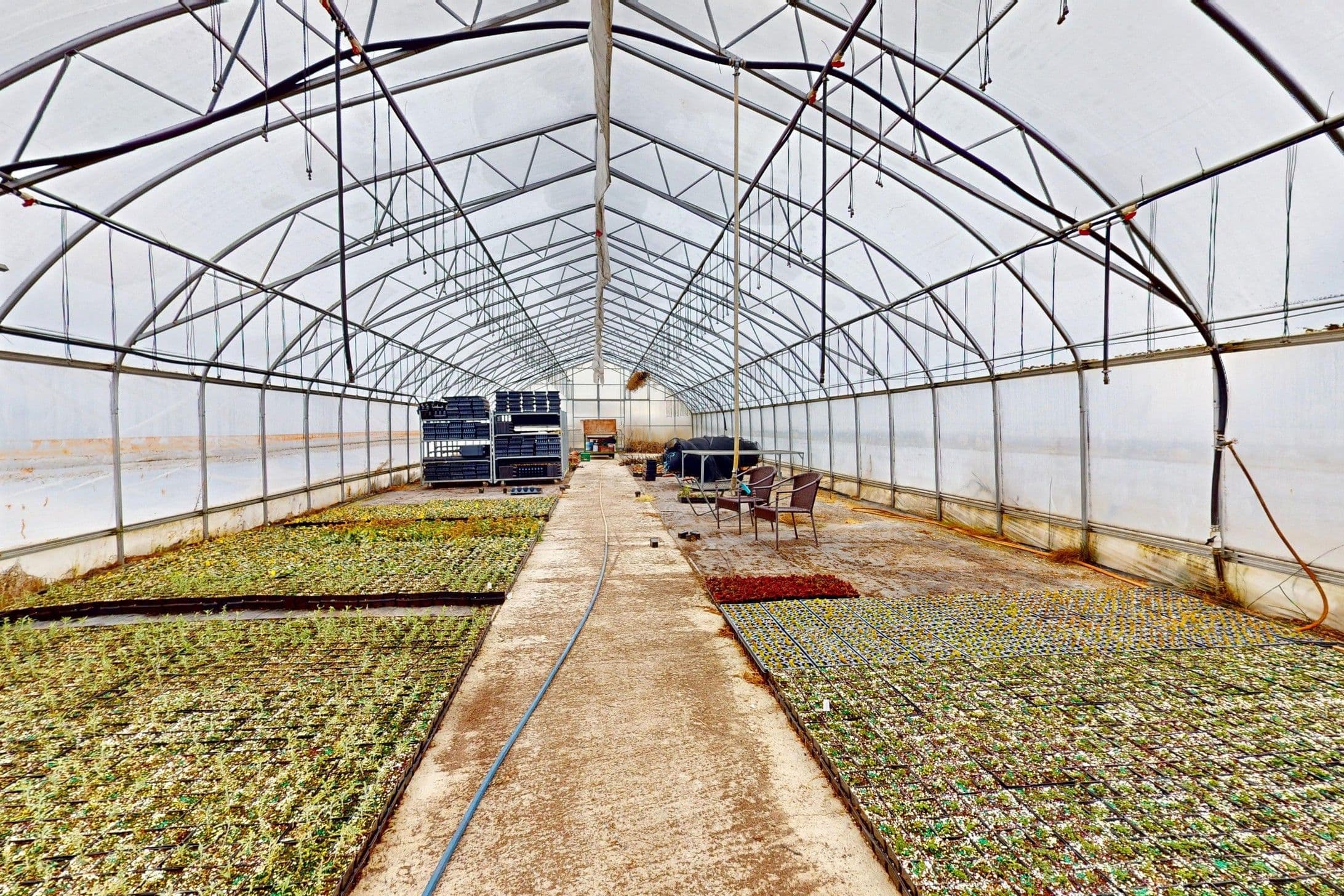 19654 McCowan Road, East Gwillimbury, ON L0G 1M0