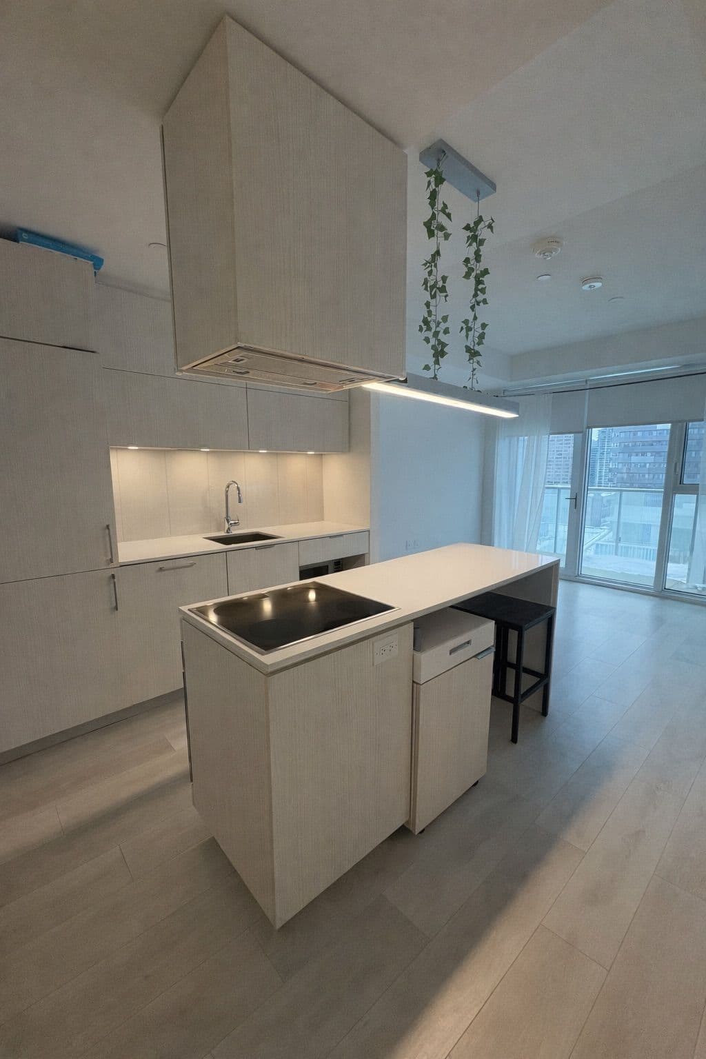 15 Lower Jarvis Street 1309, Toronto C08, ON M5E 0C4