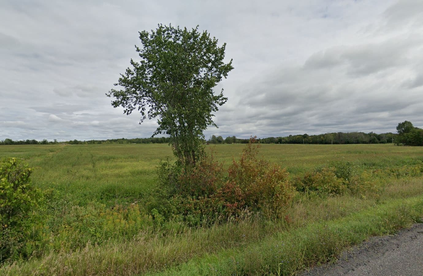 LOT 5 Rodney Lane, North Dundas, ON K0C 2K0