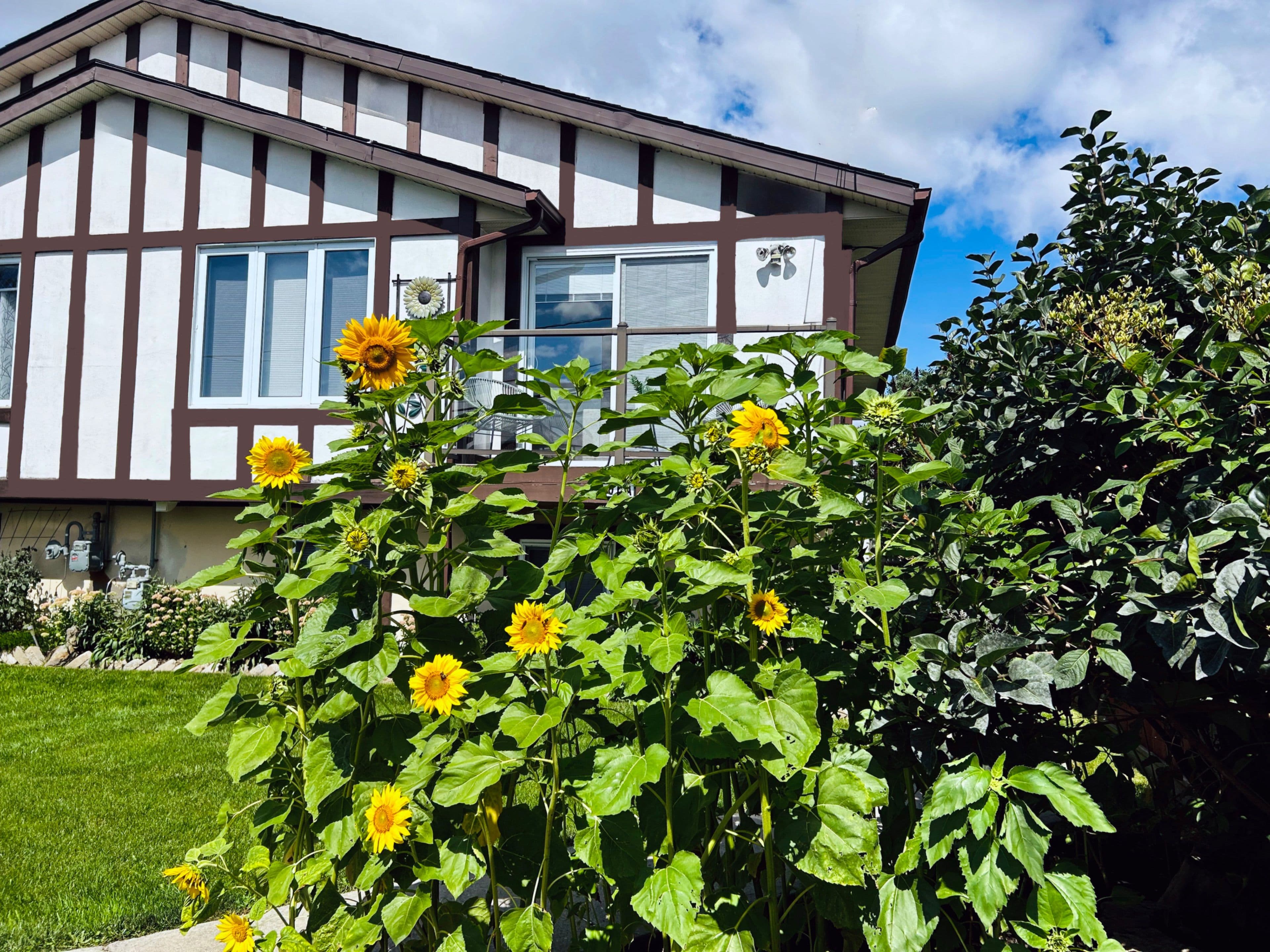 106A Wellington Main Street, Prince Edward County, ON K0K 3L0