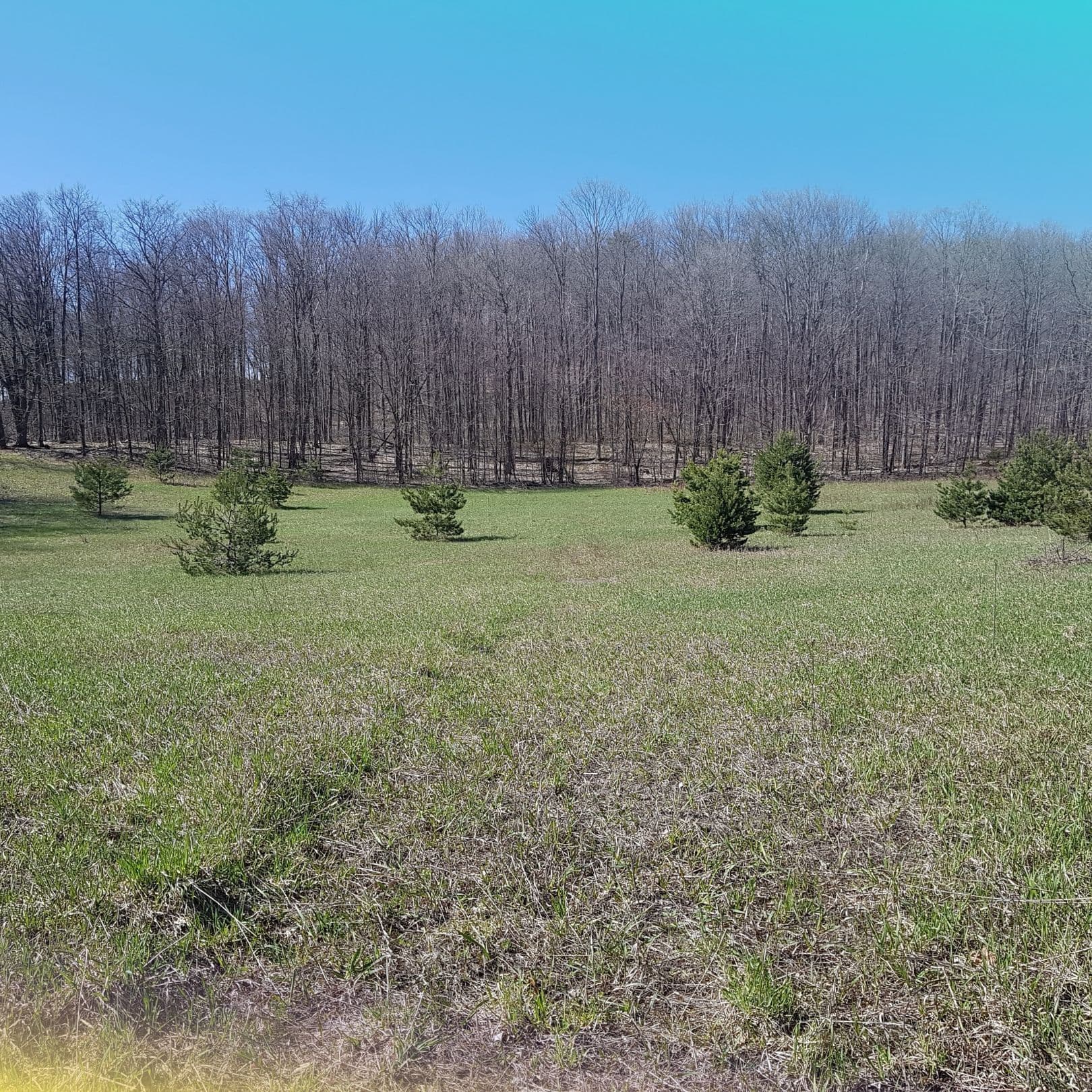 1024 Old Barrie Road, Oro-Medonte, ON L0L 2L0