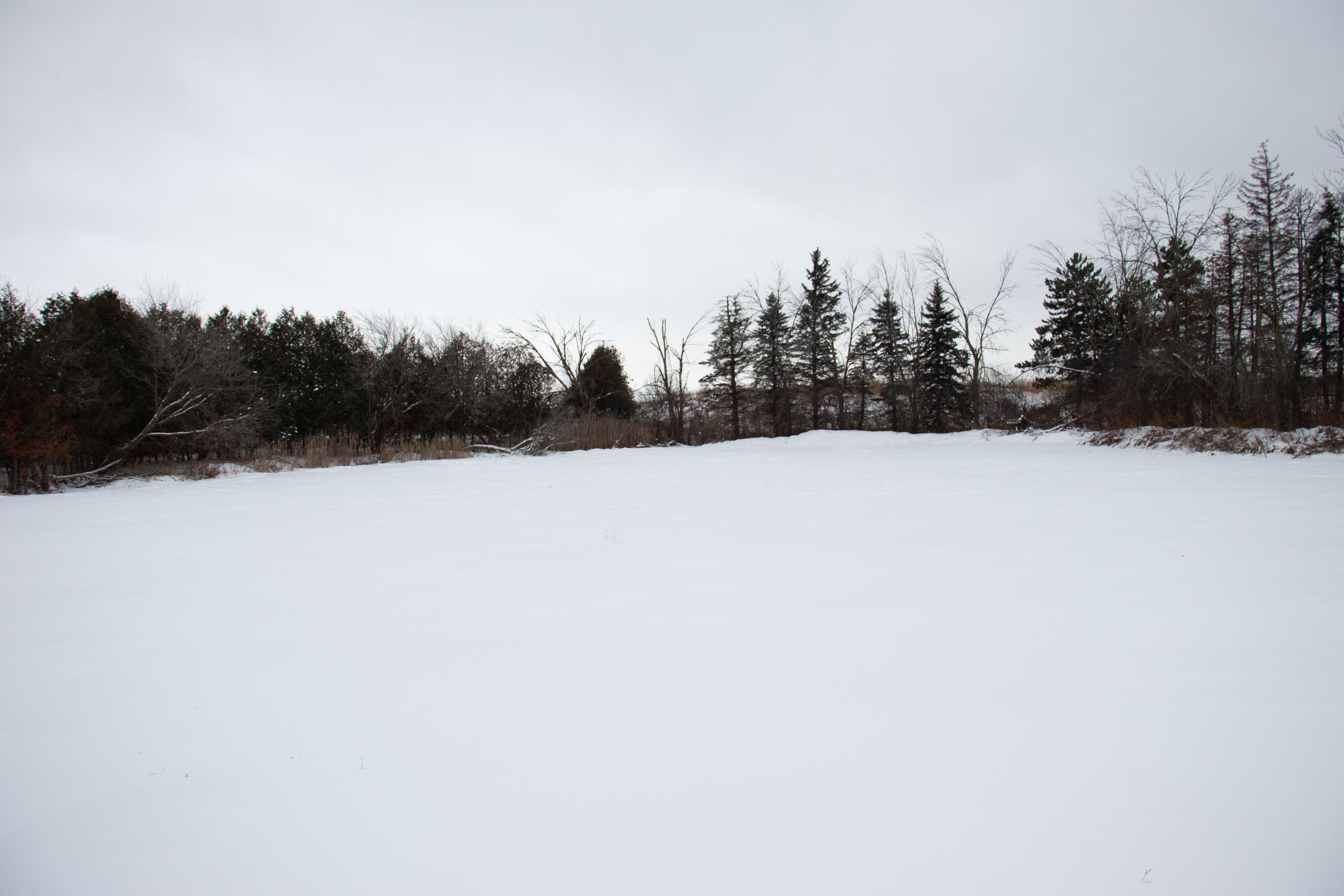 14182 Highway 50 N/A, Caledon, ON L7E 3E2