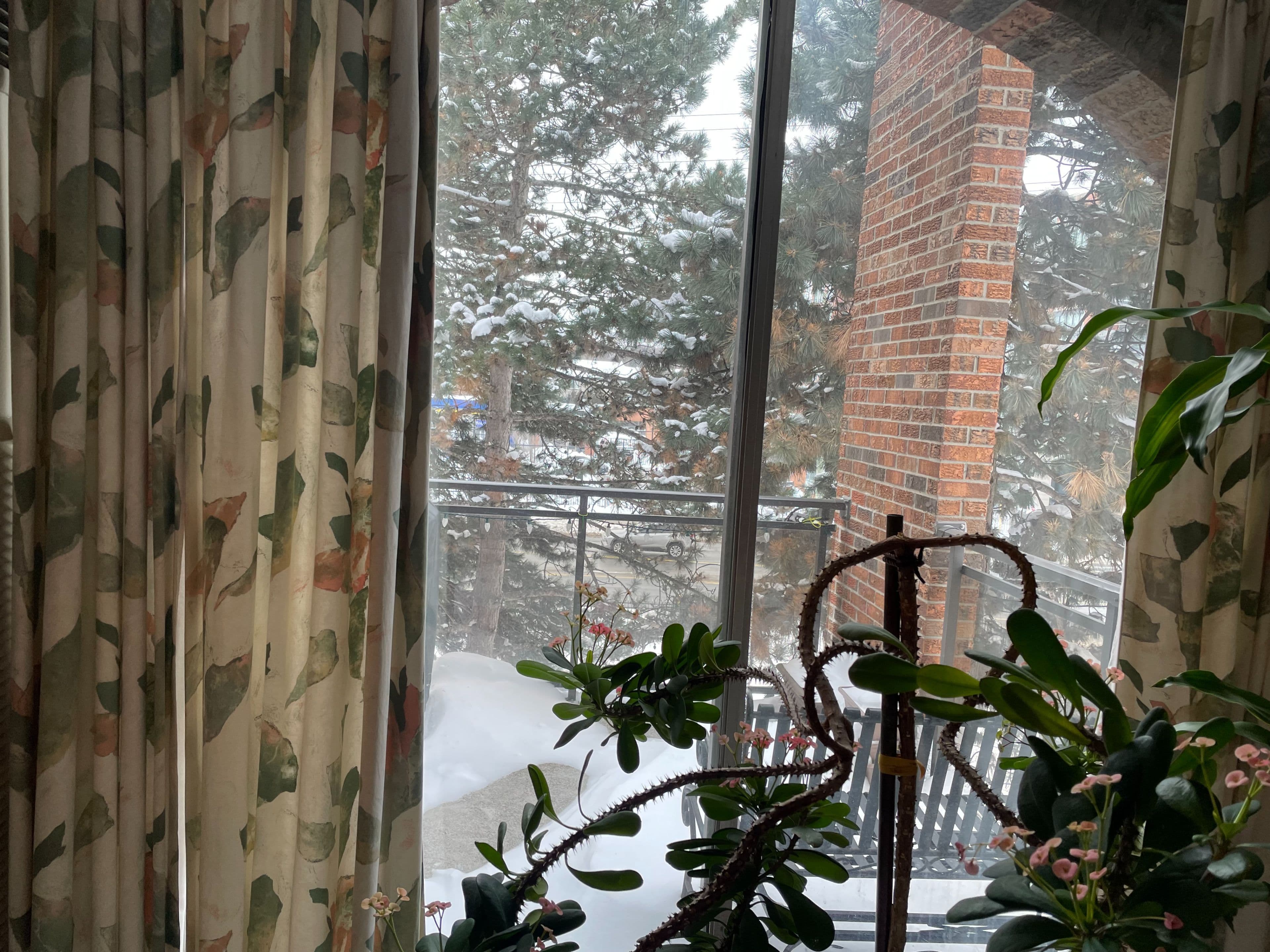 16 Elgin Street 200, Markham, ON L3T 4T4