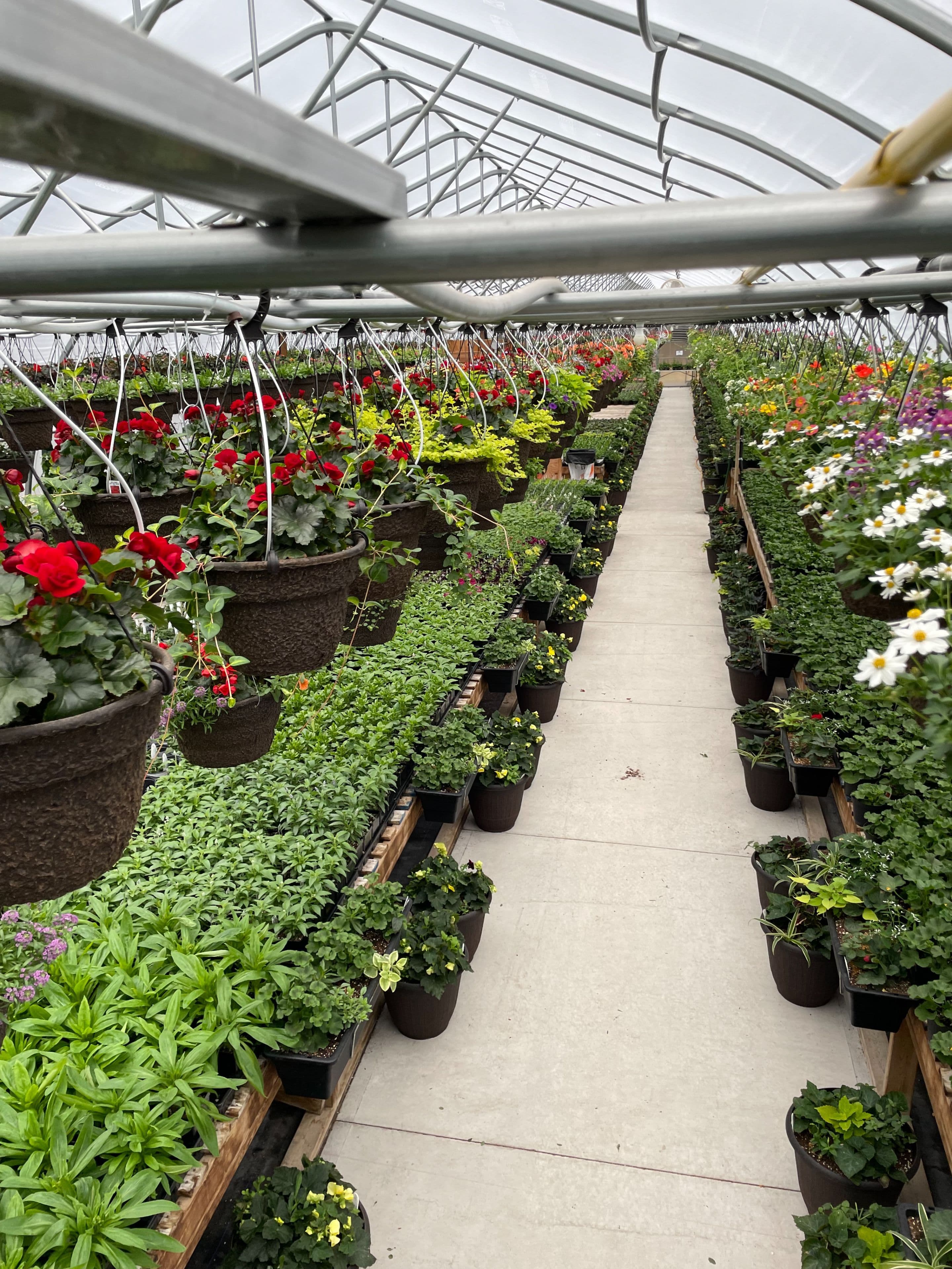 19 Ledge Road, Trent Lakes, ON K0M 1A0