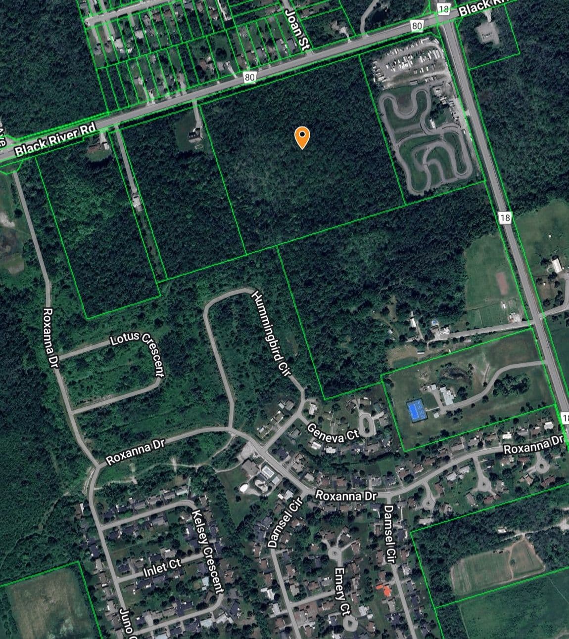 N/A Black River Road, Georgina, ON L0E 1R0