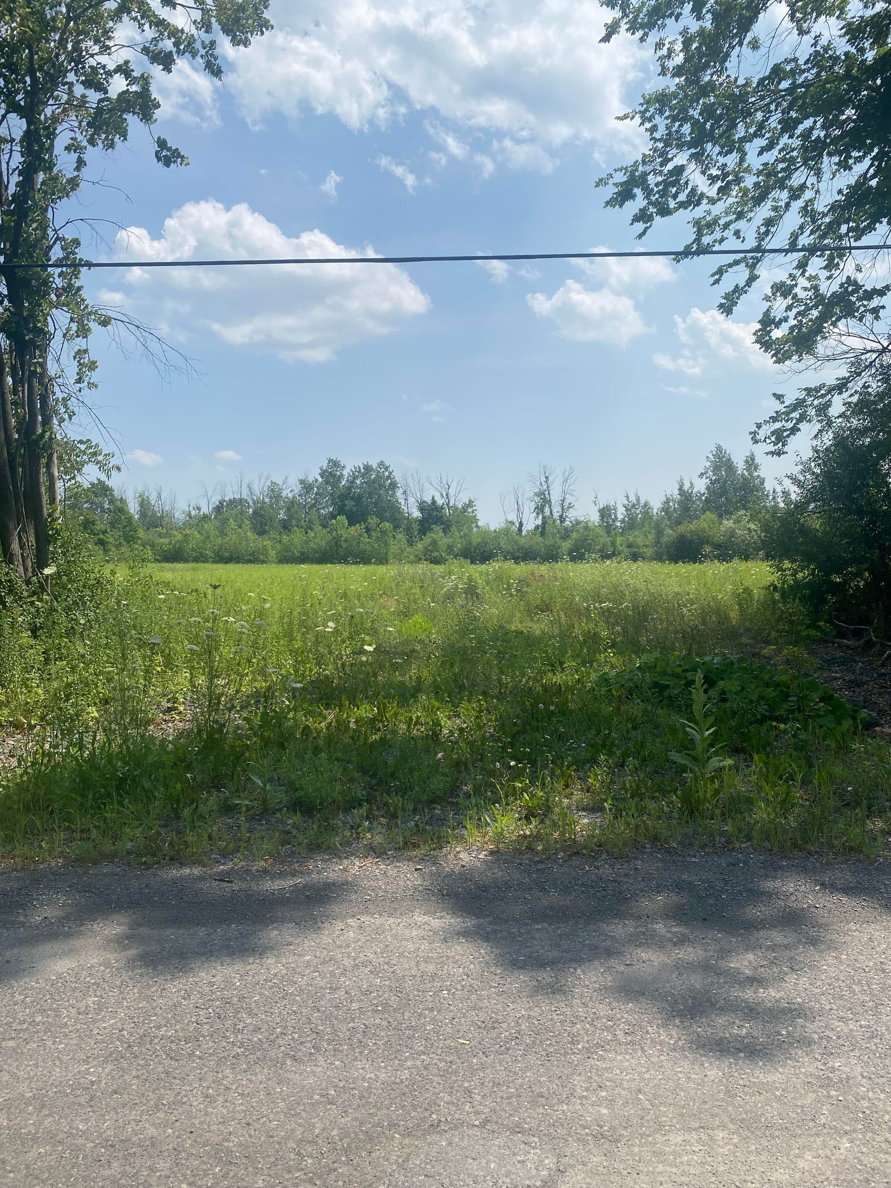 LT 3 Harmony Road E, North Dundas, ON K0C 2K0