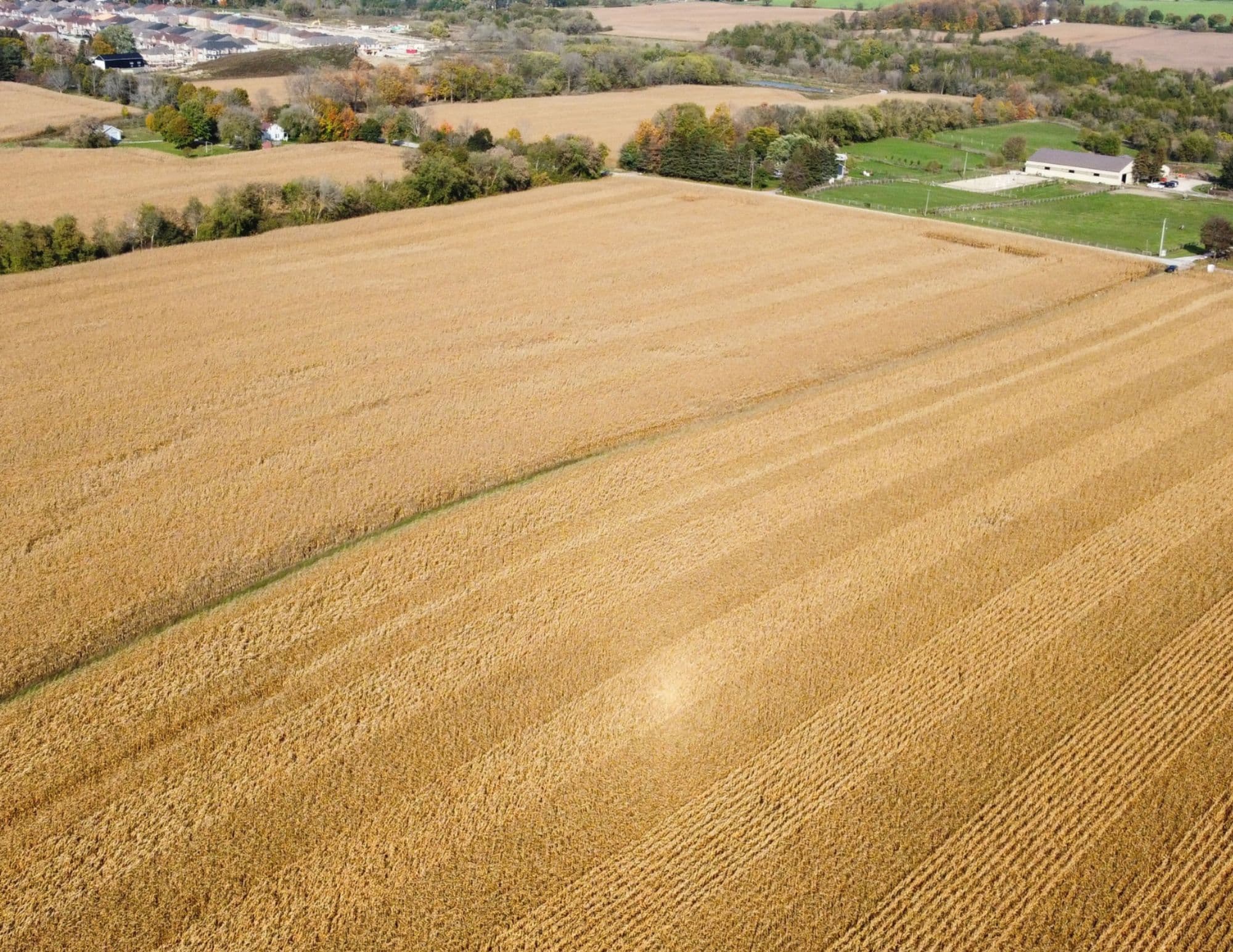 18609 Highway 48 N/A, East Gwillimbury, ON L0G 1M0