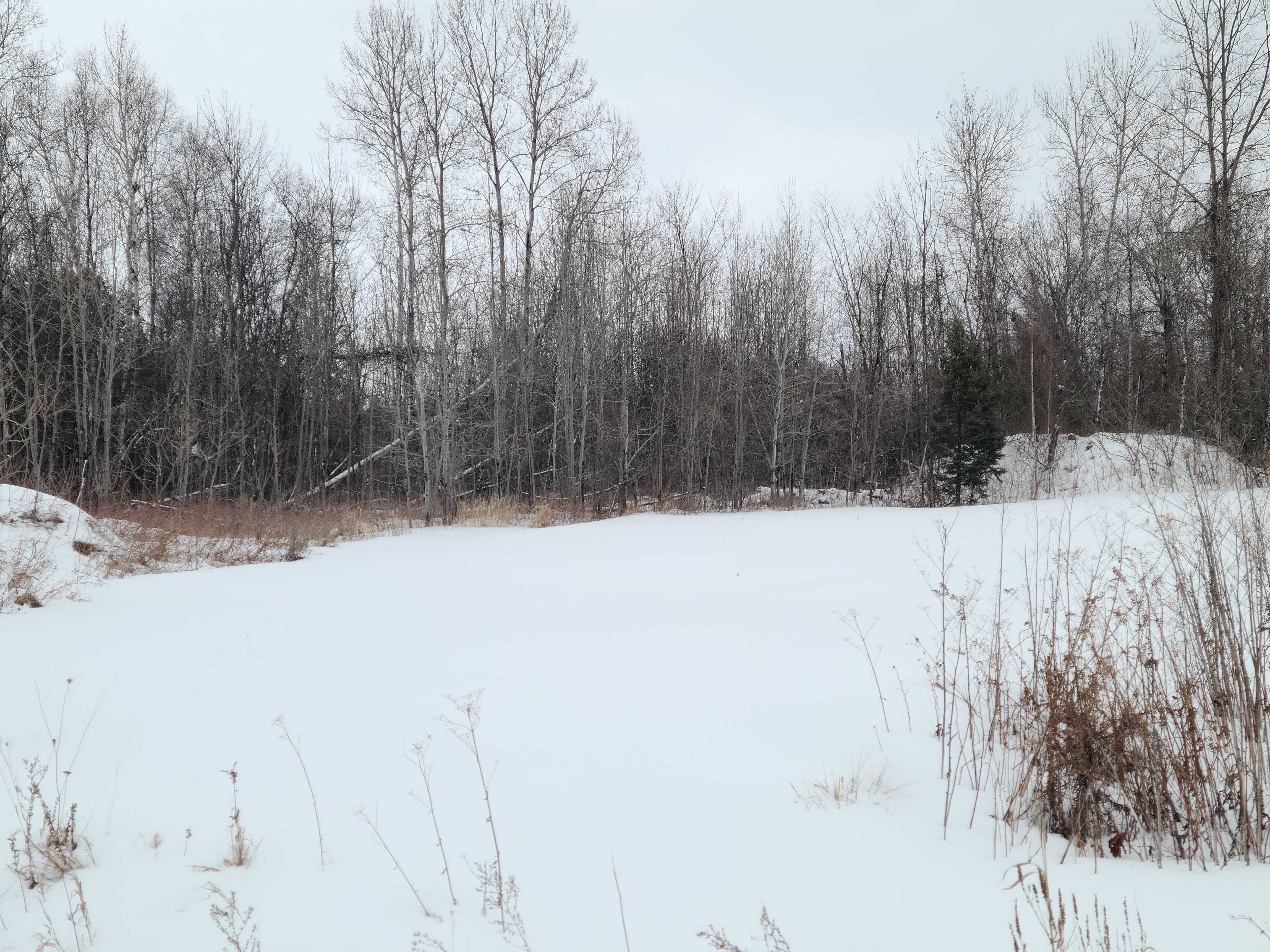 Lot#33 Crows Nest Road, North Stormont, ON K0C 1T0