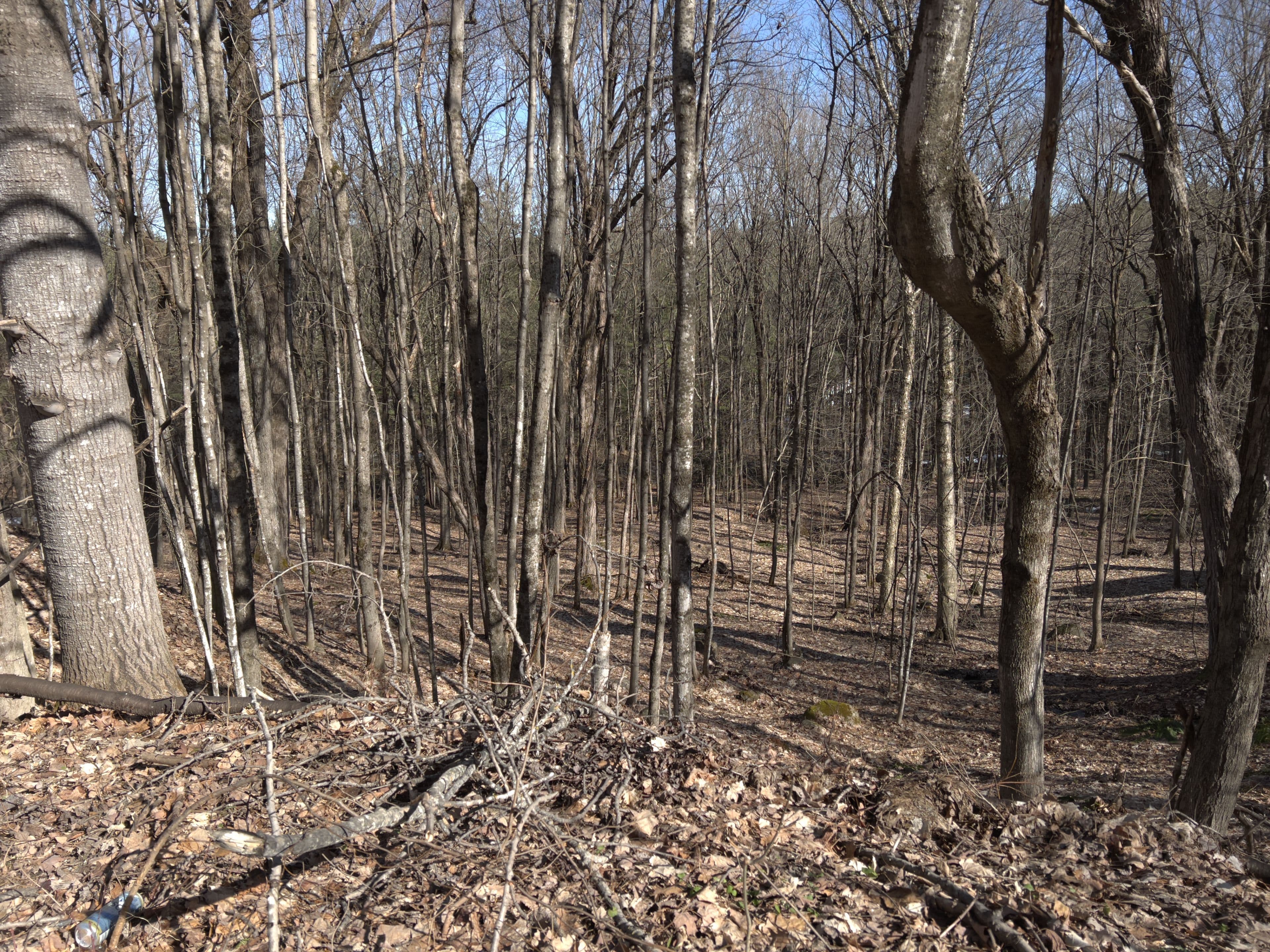 0 SOUTH MUSKOKA Drive, Bracebridge, ON P1L 1M4