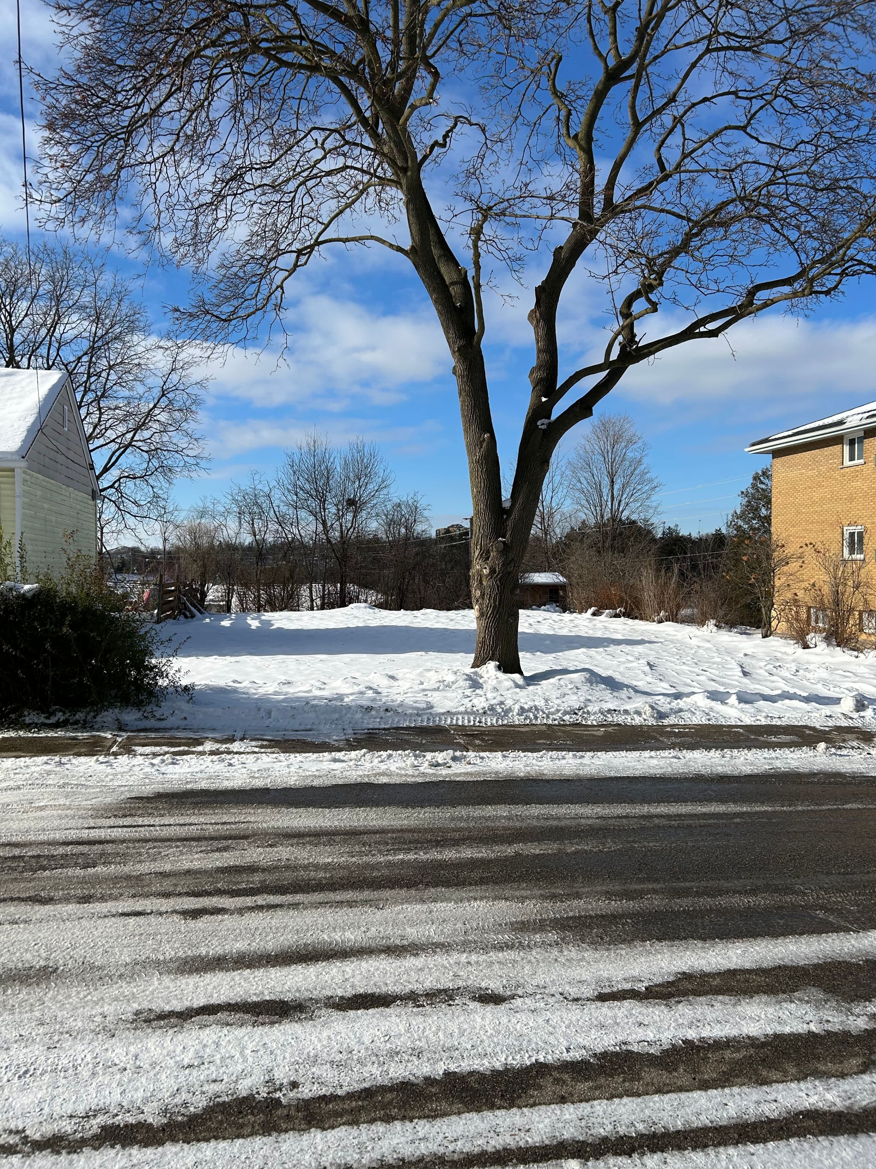 148 Hedley Street, Cambridge, ON N3H 3X8