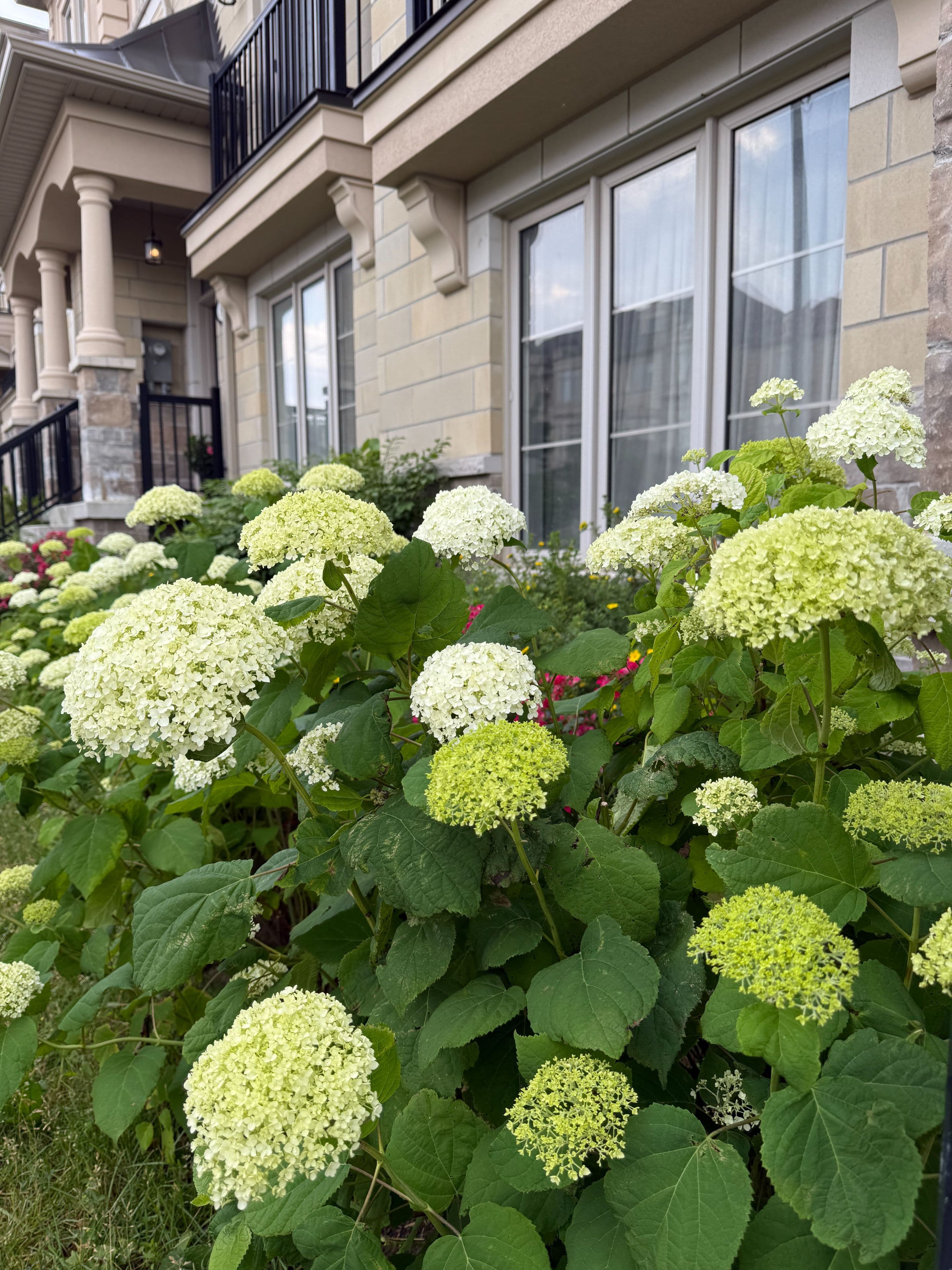 87 Grand Trunk Avenue, Vaughan, ON L6A 5B3