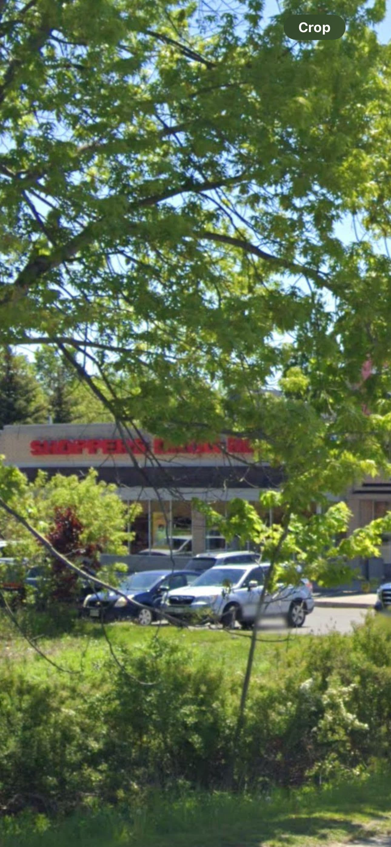 20927 Dalton Road, Georgina, ON L0E 1R0