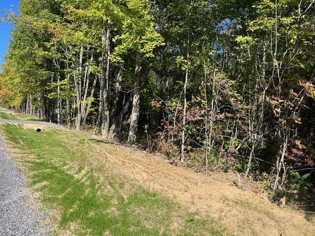 Pt 33A & Pt 33B Autumn Road N, Trent Hills, ON K0K 3K0