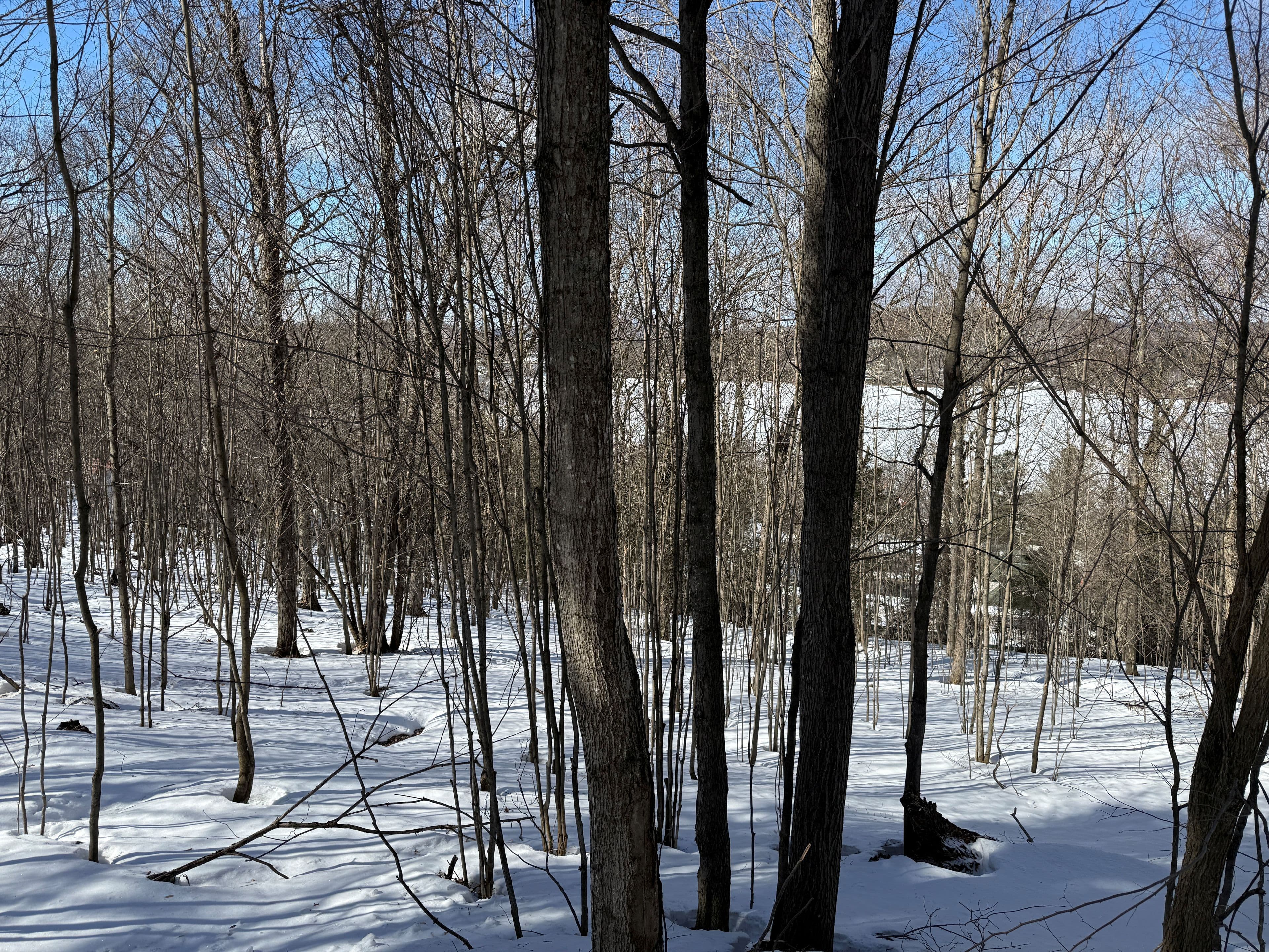 22 Walpole Street W, Huntsville, ON P1H 1V3