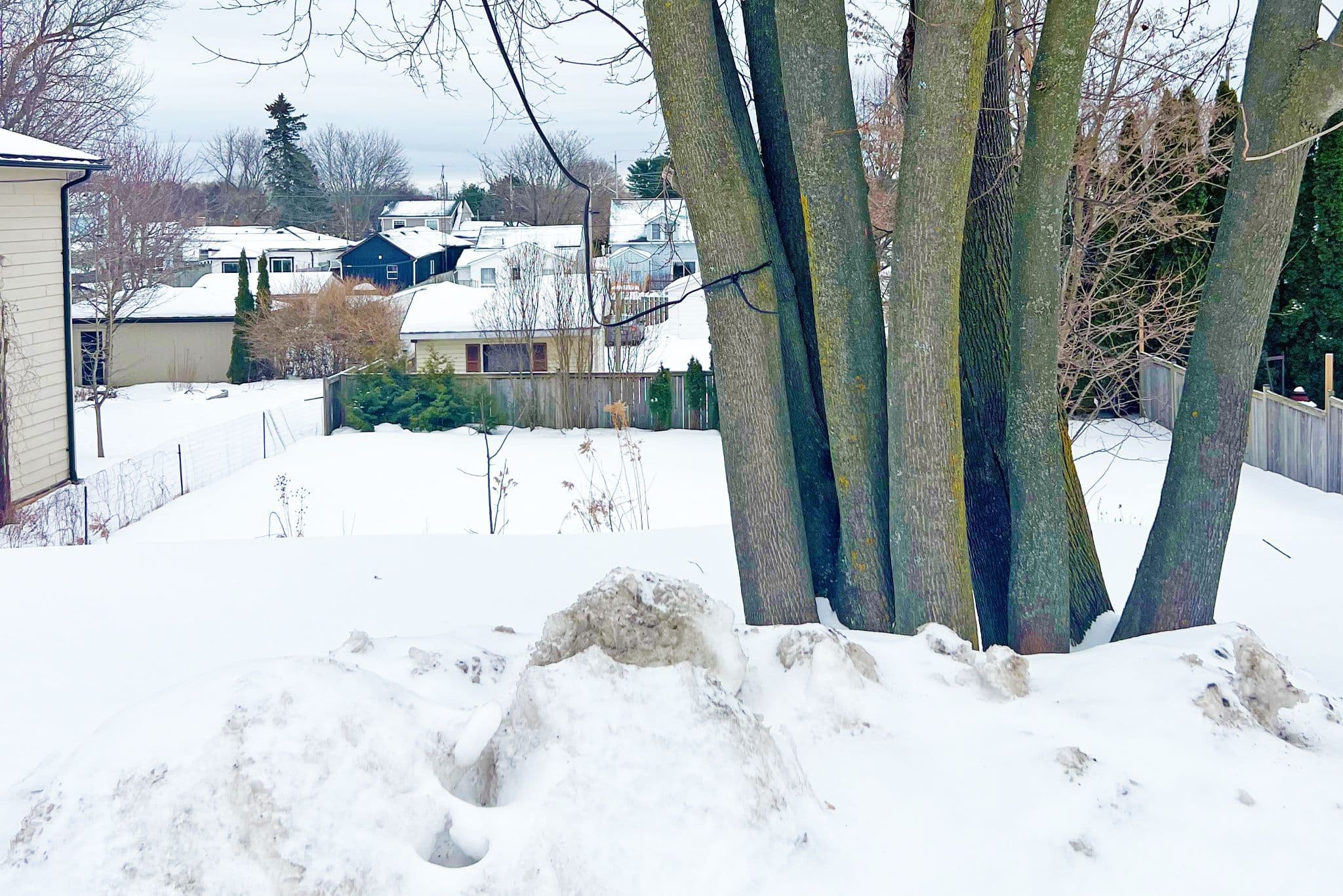 175 Bruton Street, Port Hope, ON L1A 1V8