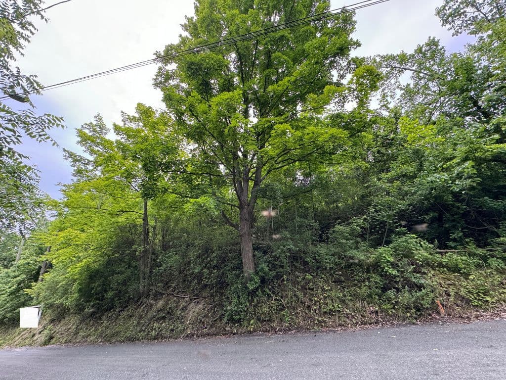 0 Maple Street, Trent Hills, ON K0L 1L0