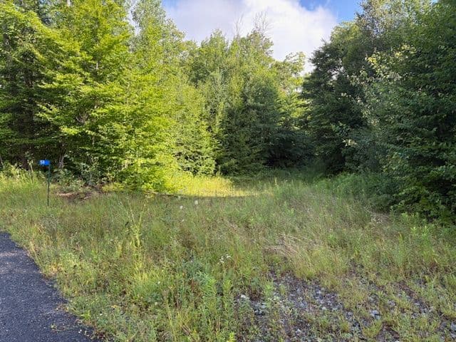 59 Summer Leigh Trail, Huntsville, ON P0B 1M0