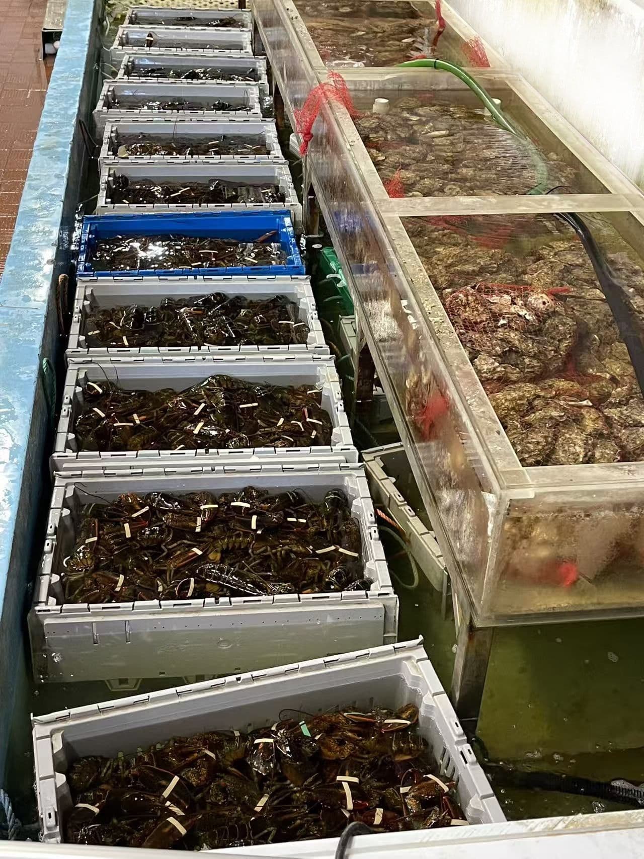 63 Silver Star Boulevard D20, Toronto E07, ON M1V 5E5