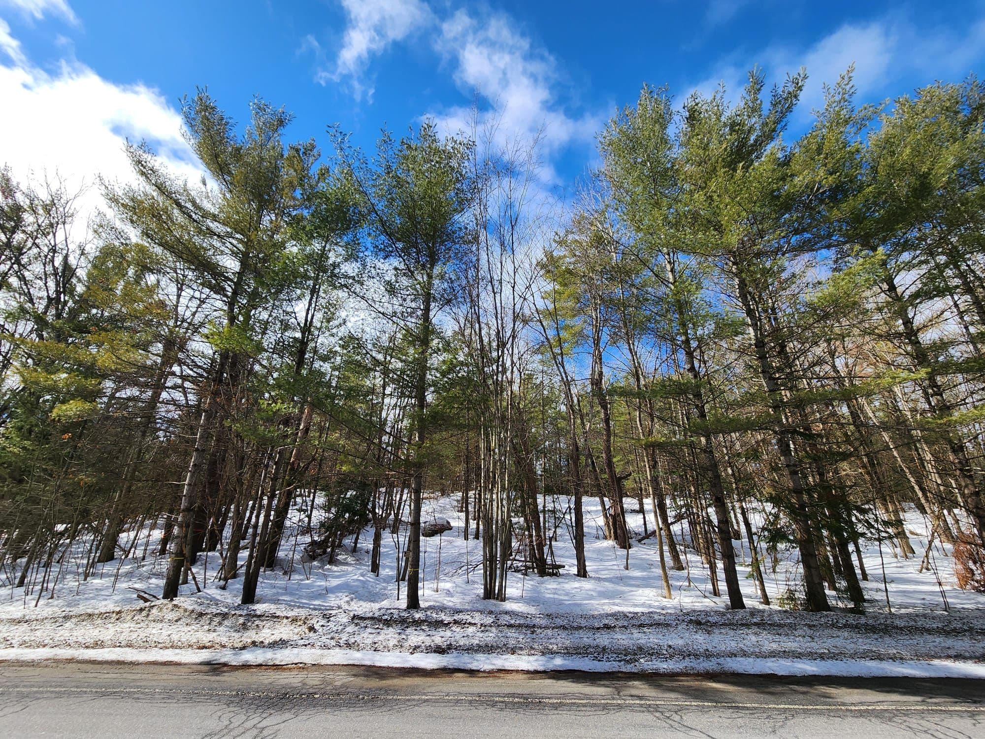 00 Manitoba Street, Bracebridge, ON P1L 1W9