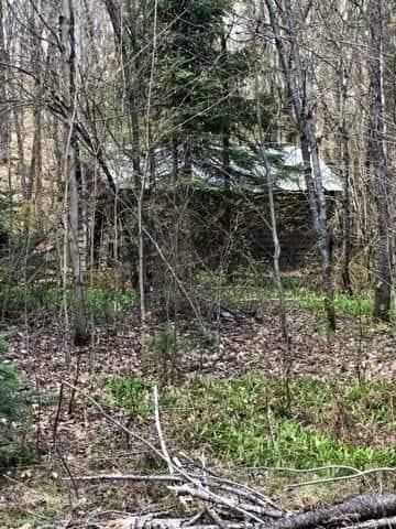 2595 Etwell Road, Huntsville, ON P0B 1M0