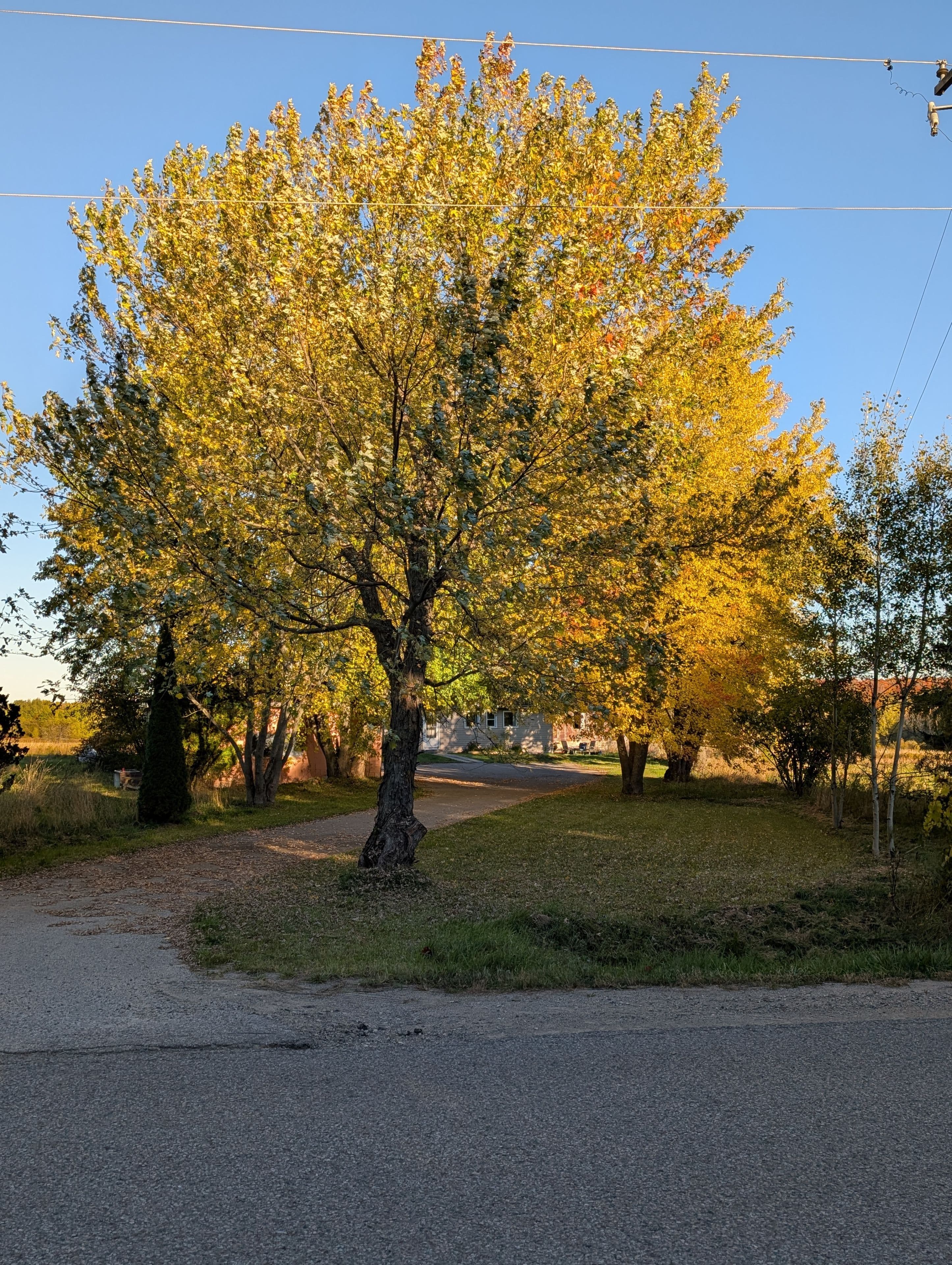 554177 Mono-Amaranth Townline S A, Mono, ON L9W 5M7