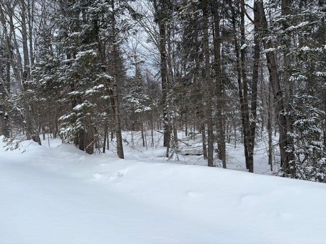 59 Summer Leigh Trail, Huntsville, ON P0B 1M0