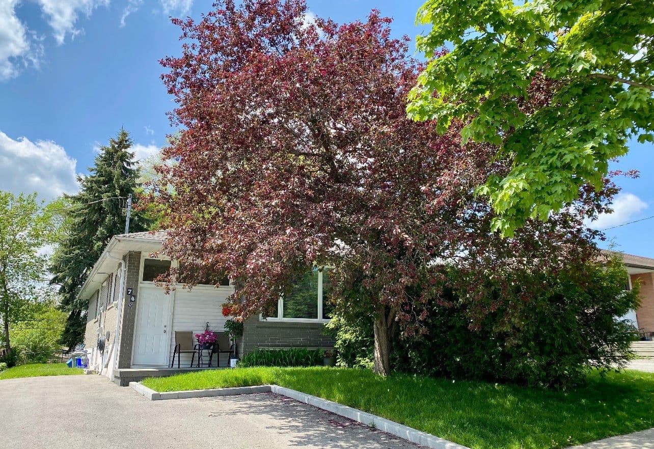 74 Newbury Drive Bmnt, Newmarket, ON L3Y 4R3