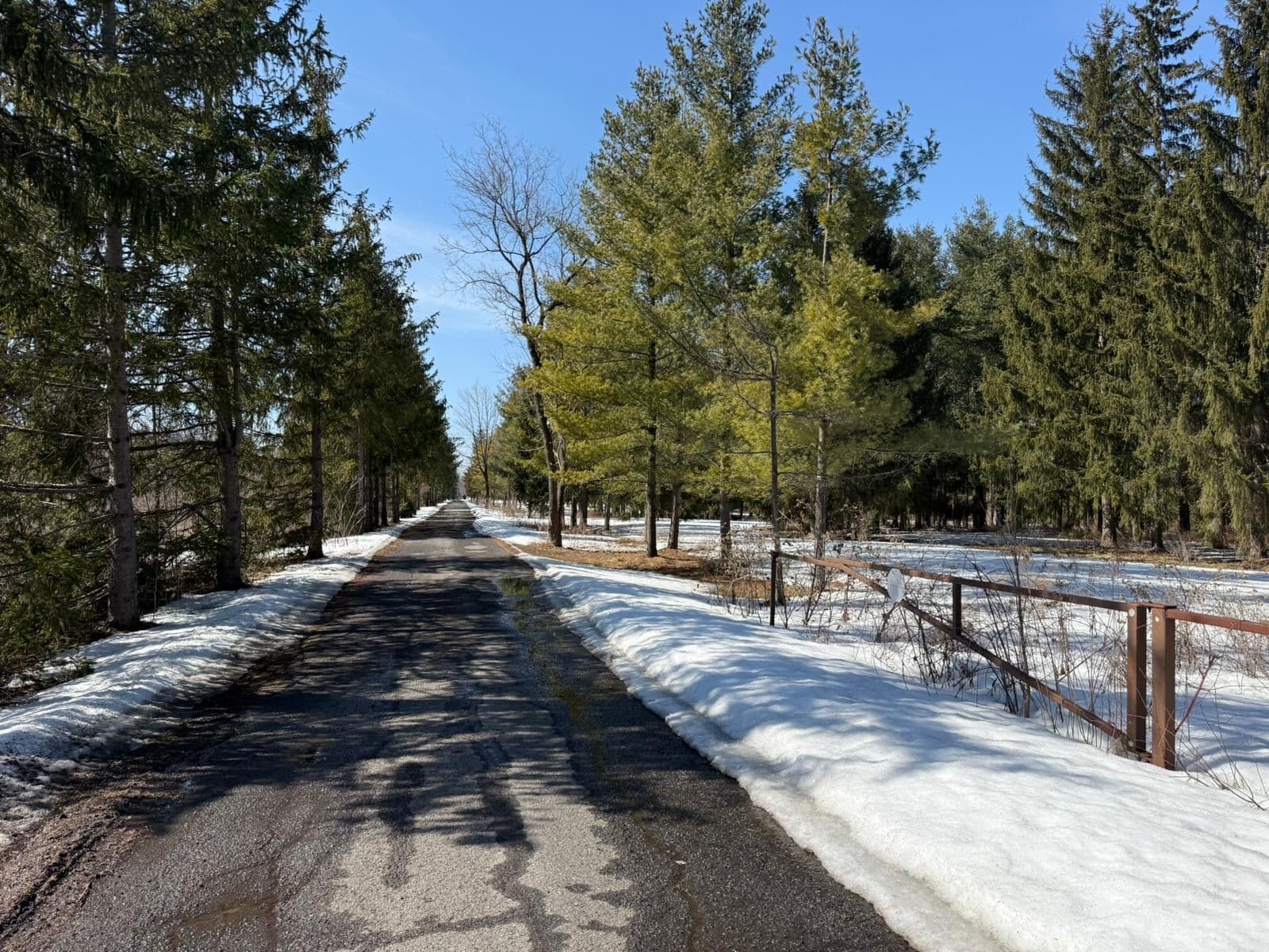 970 Cameron Street, Orleans - Cumberland and Area, ON K4C 1C6