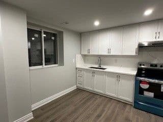 51 Terrain Court Bsmt, East Gwillimbury, ON L9N 0T2