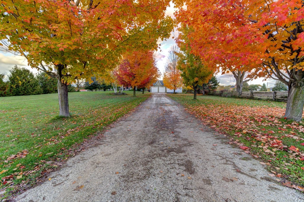 1595 County 42 Road, Clearview, ON L0M 1S0