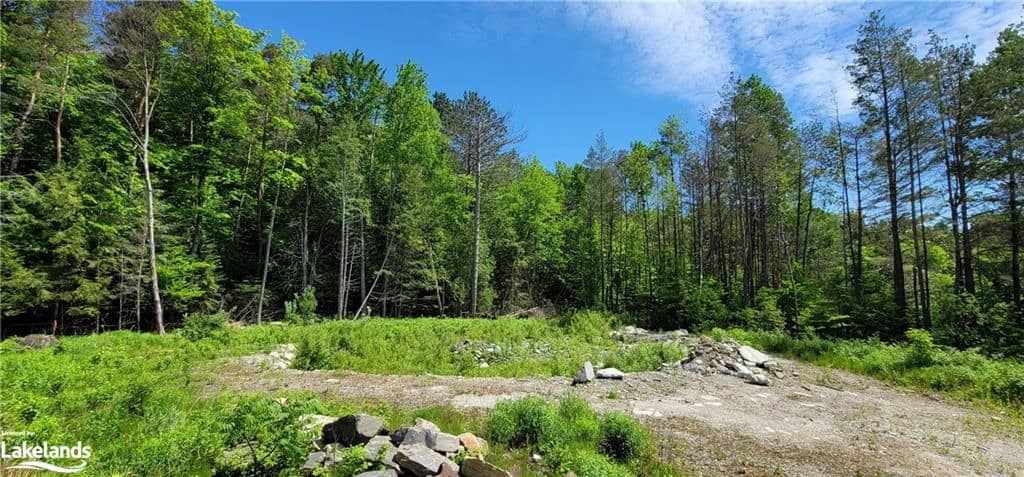 15 MADELINE Street, Huntsville, ON P1H 1L8