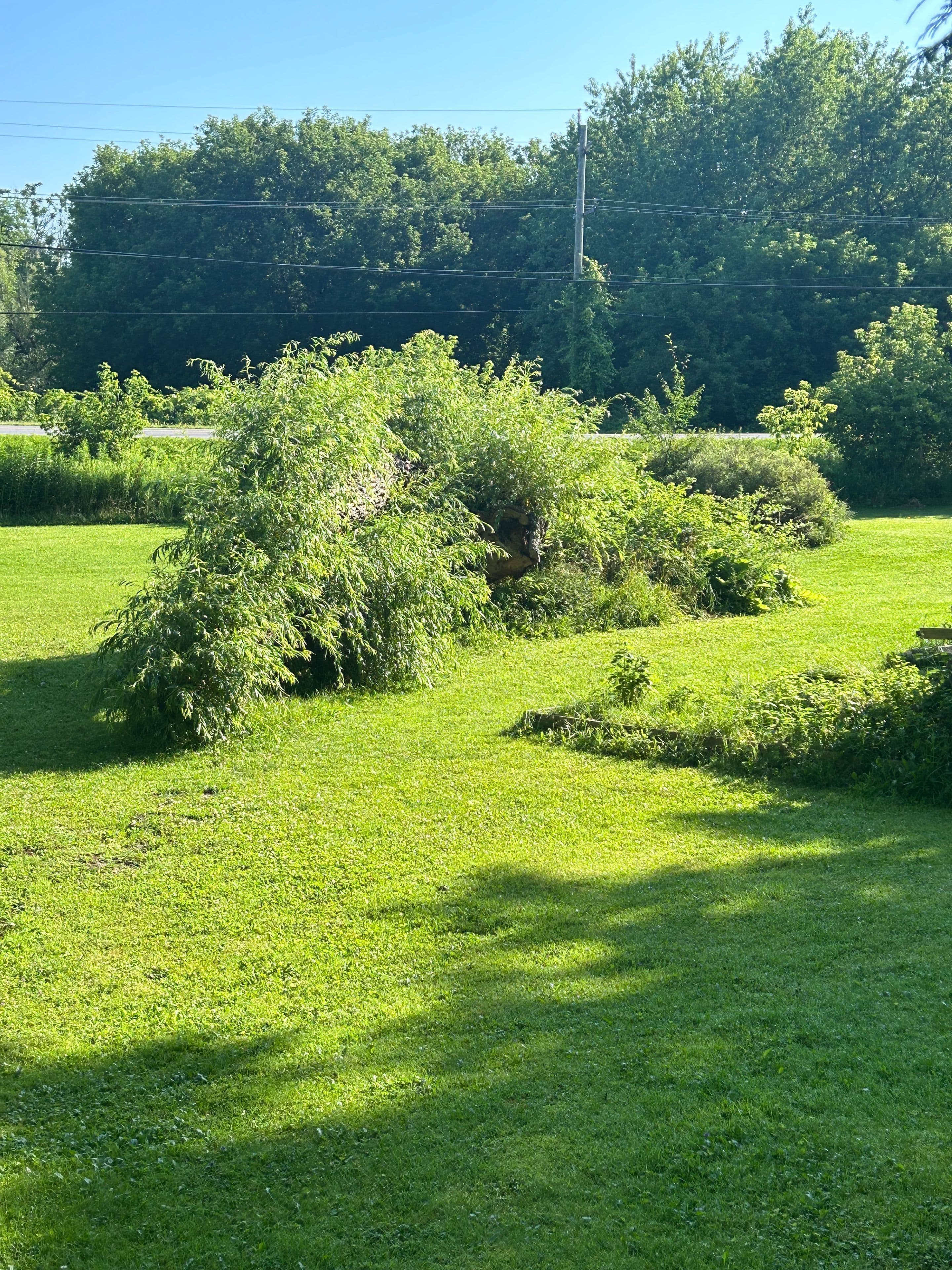 640 Mountain Road, Collingwood, ON L9Y 5G3