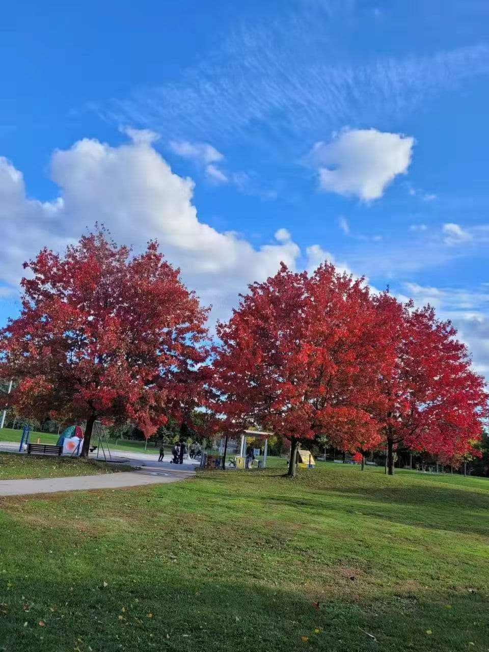 103 Glentworth Road, Toronto C15, ON M2J 2E7