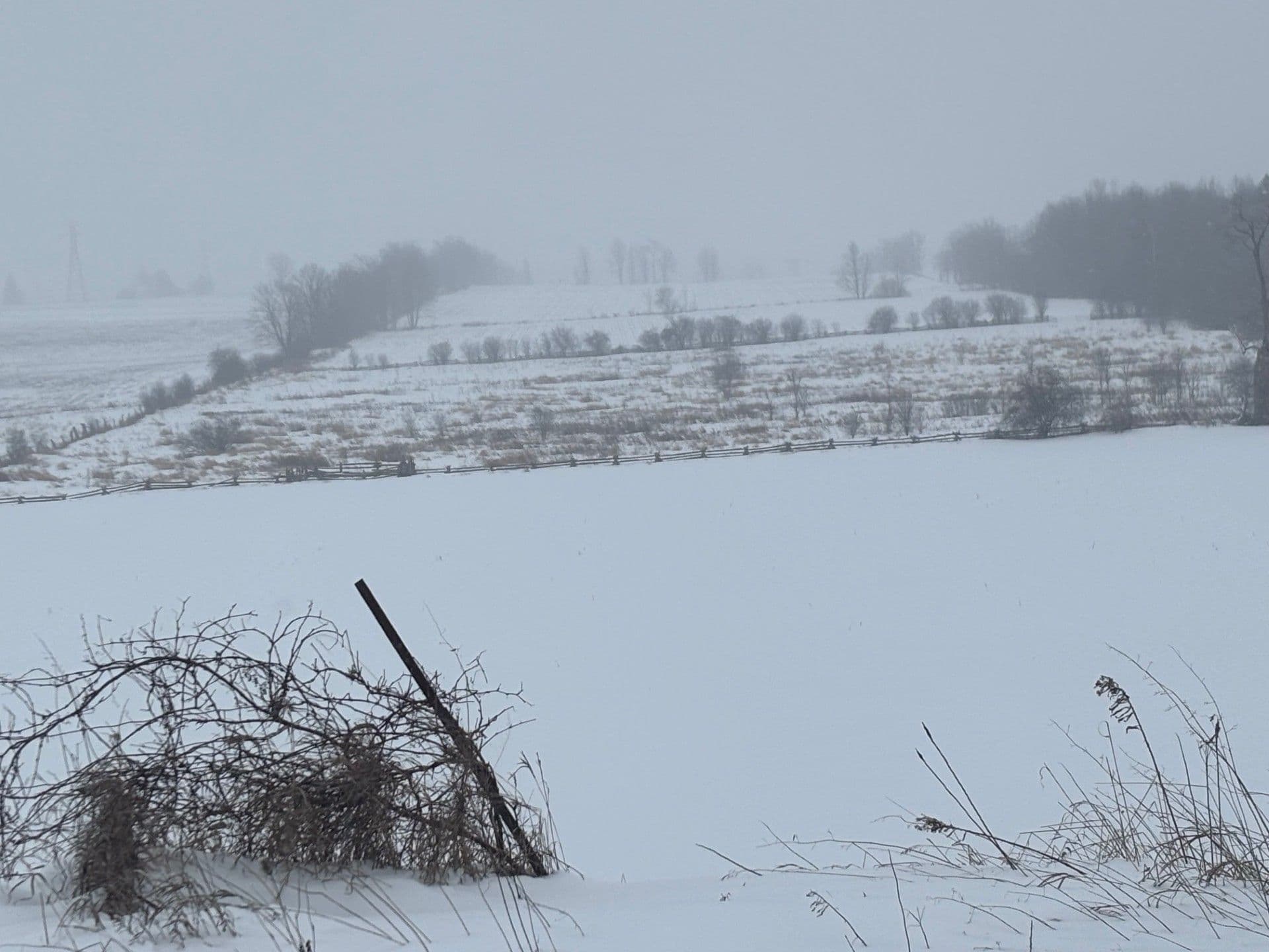 0 County Rd 21 N/A, Cavan Monaghan, ON L0A 1G0