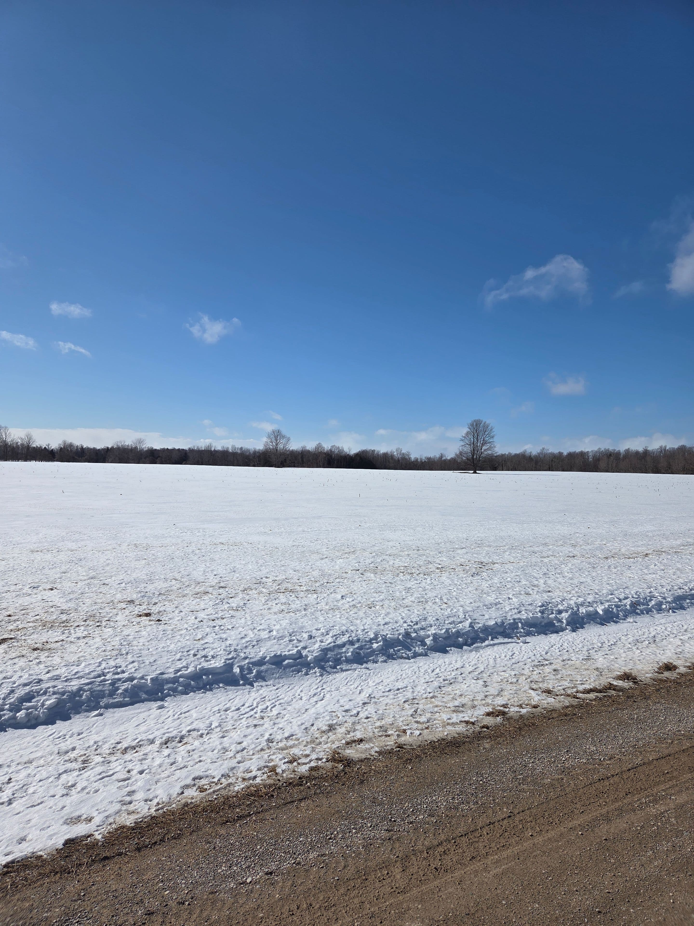 0 Bartley Side Road, Saugeen Shores, ON N0H 2C6