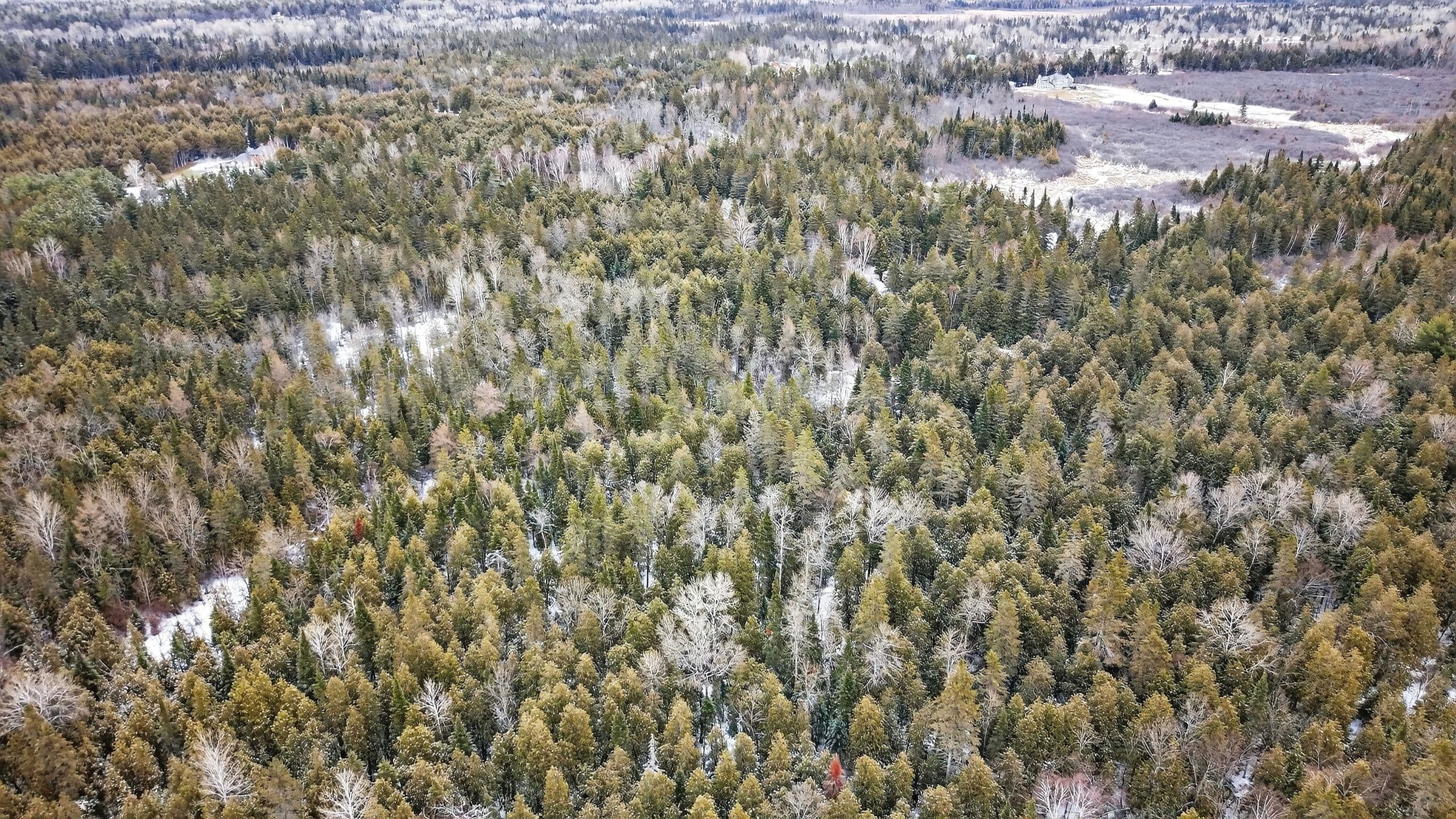 2485 Marshwood Road, Carp - Huntley Ward, ON K0A 1L0