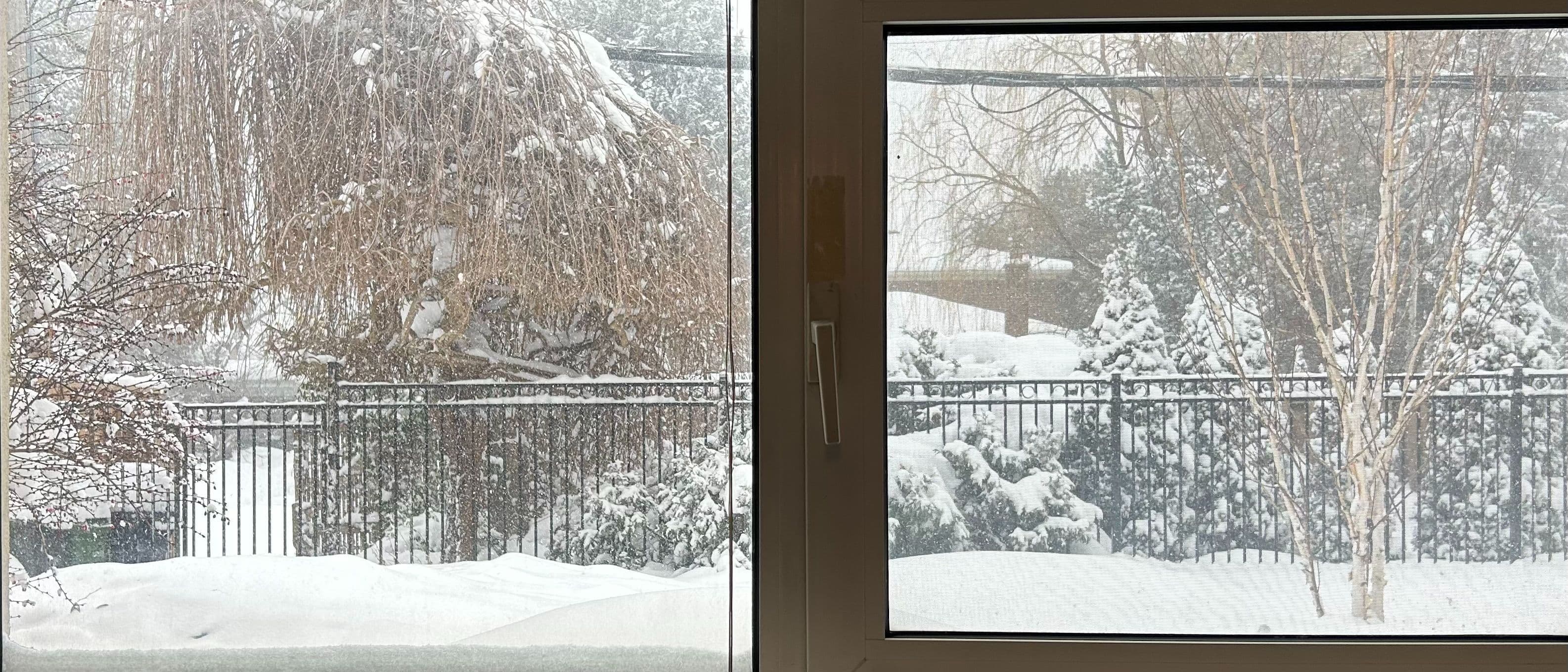 2 Citation Dr Drive Basement, Toronto C15, ON M2K 1S4