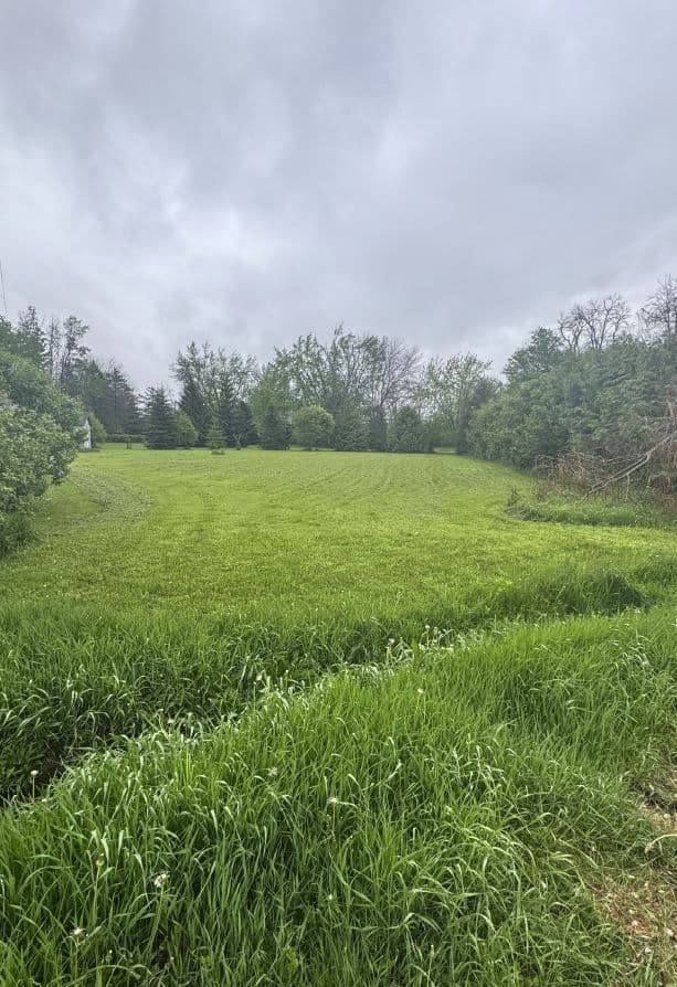 2797 Furniss Crescent, Ramara, ON L0K 1B0