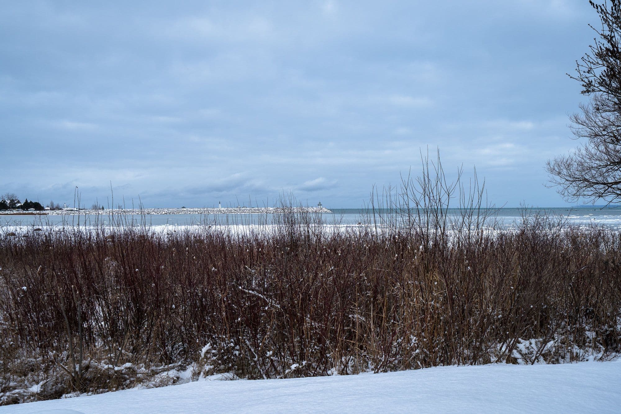 44 Trott Boulevard 24, Collingwood, ON L9Y 5B7